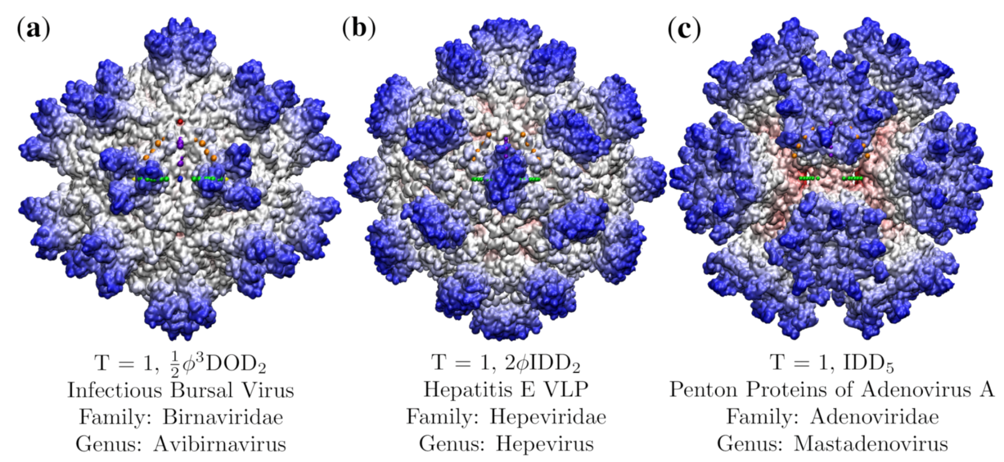 Viruses 12 00467 g002 Viruses 12 00467 g002
