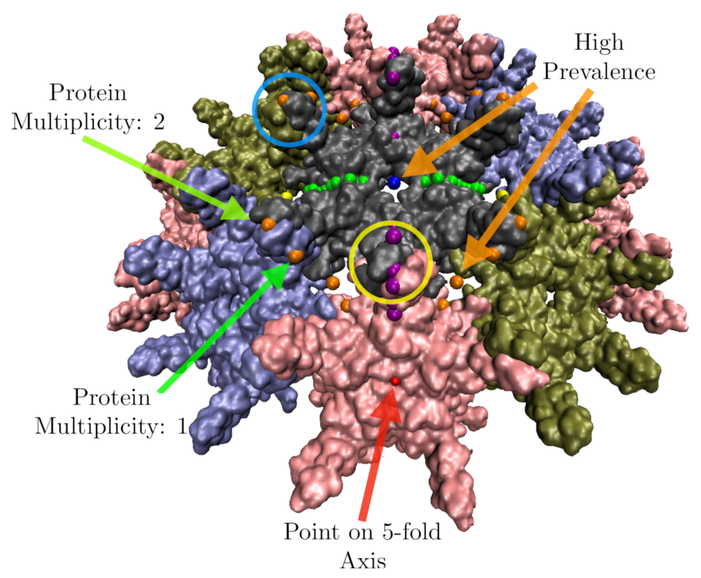 Viruses 12 00467 g010 Viruses 12 00467 g010