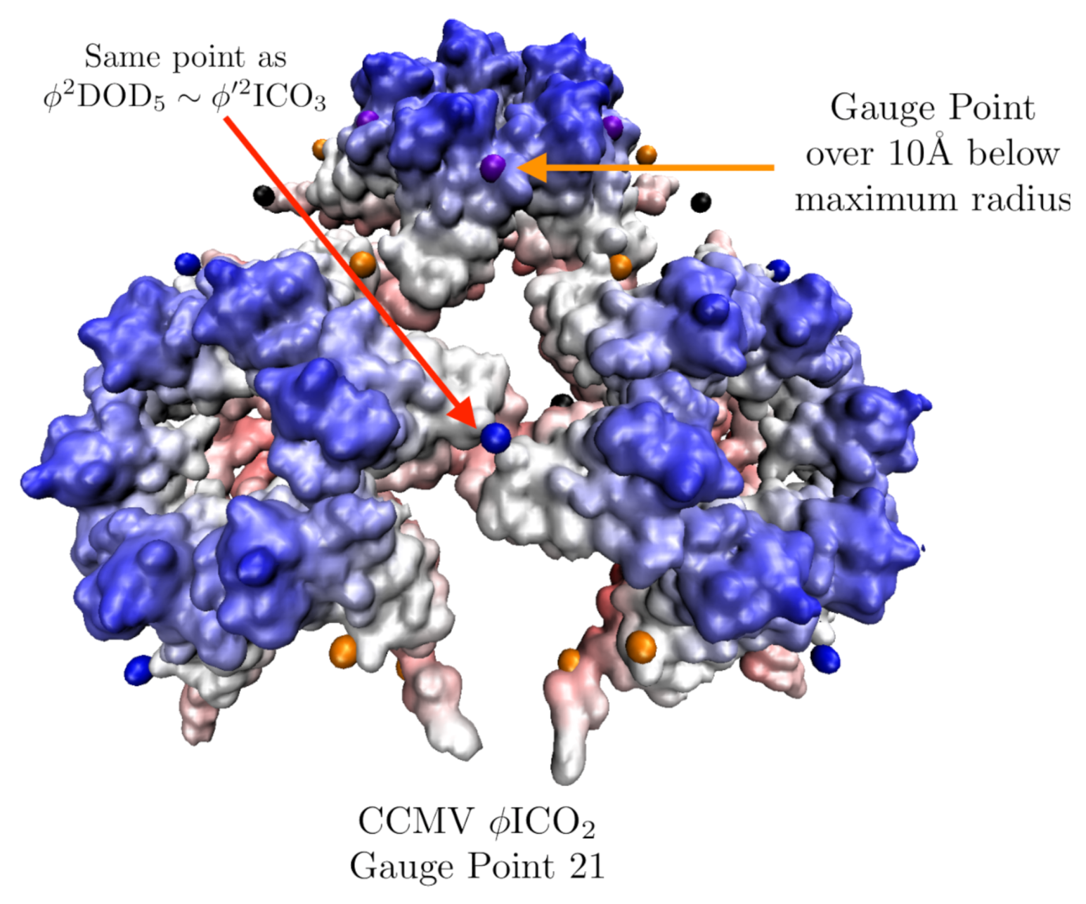Viruses 12 00467 g011 Viruses 12 00467 g011