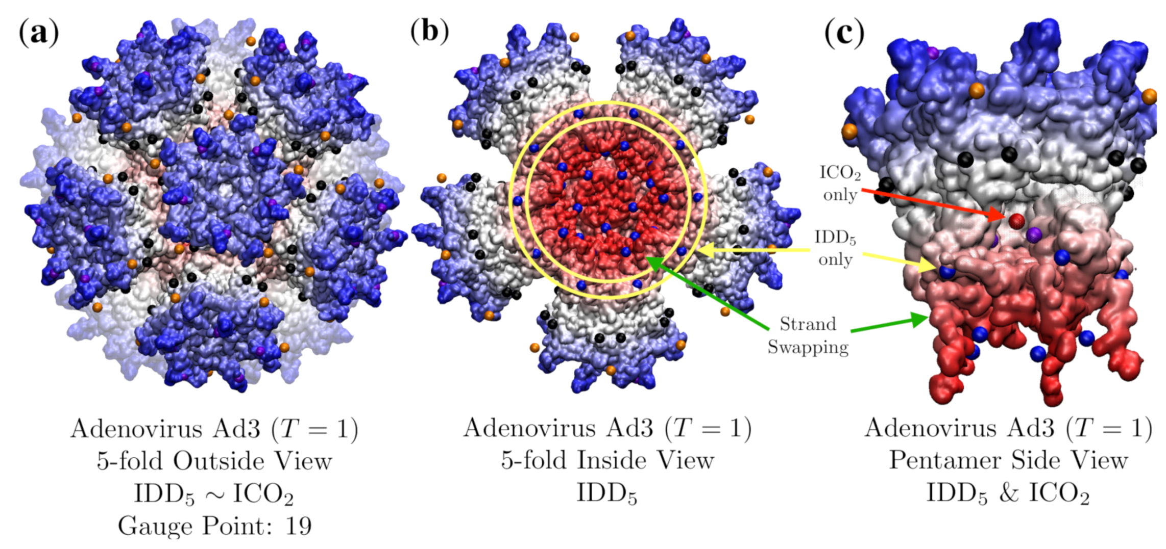 Viruses 12 00467 g012 Viruses 12 00467 g012
