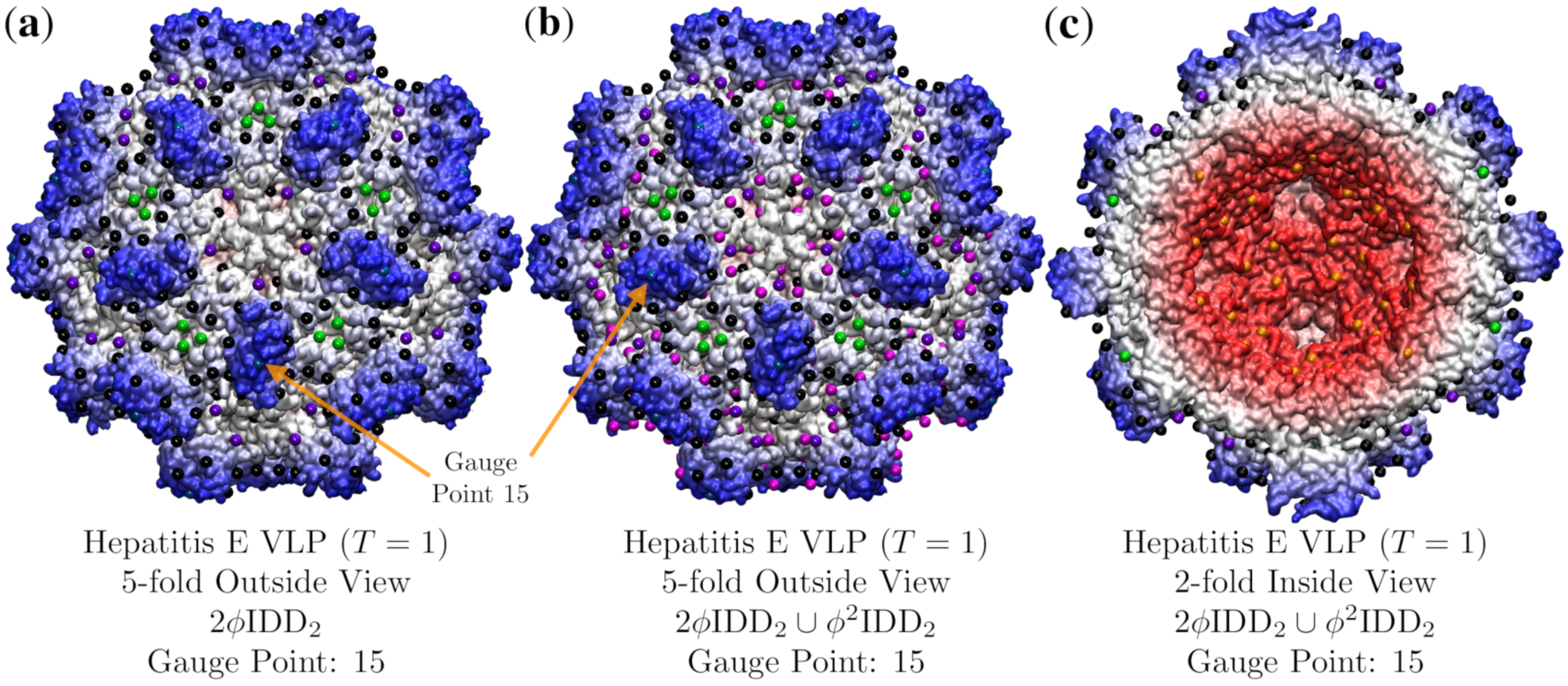 Viruses 12 00467 g013 Viruses 12 00467 g013