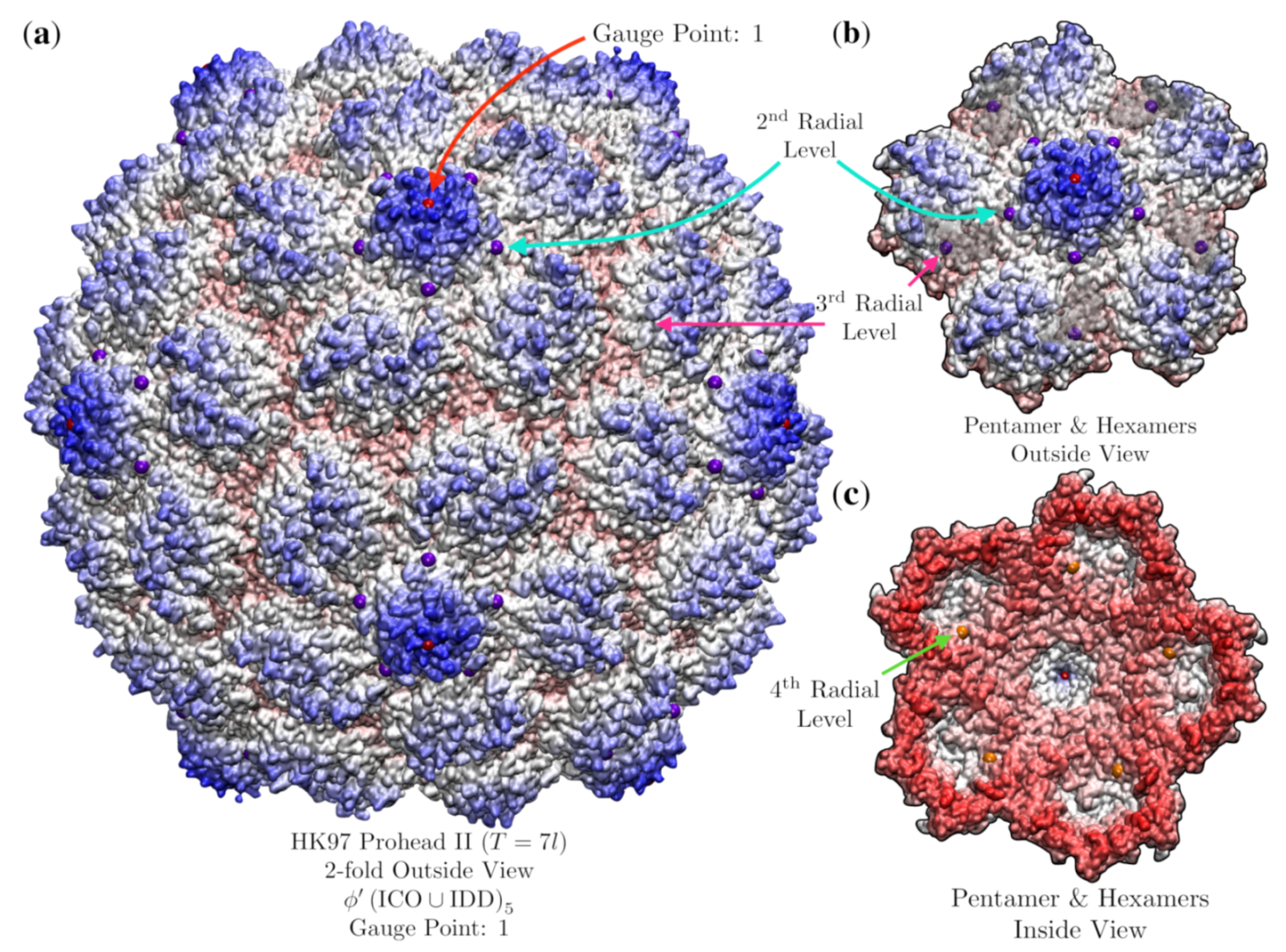 Viruses 12 00467 g020 Viruses 12 00467 g020