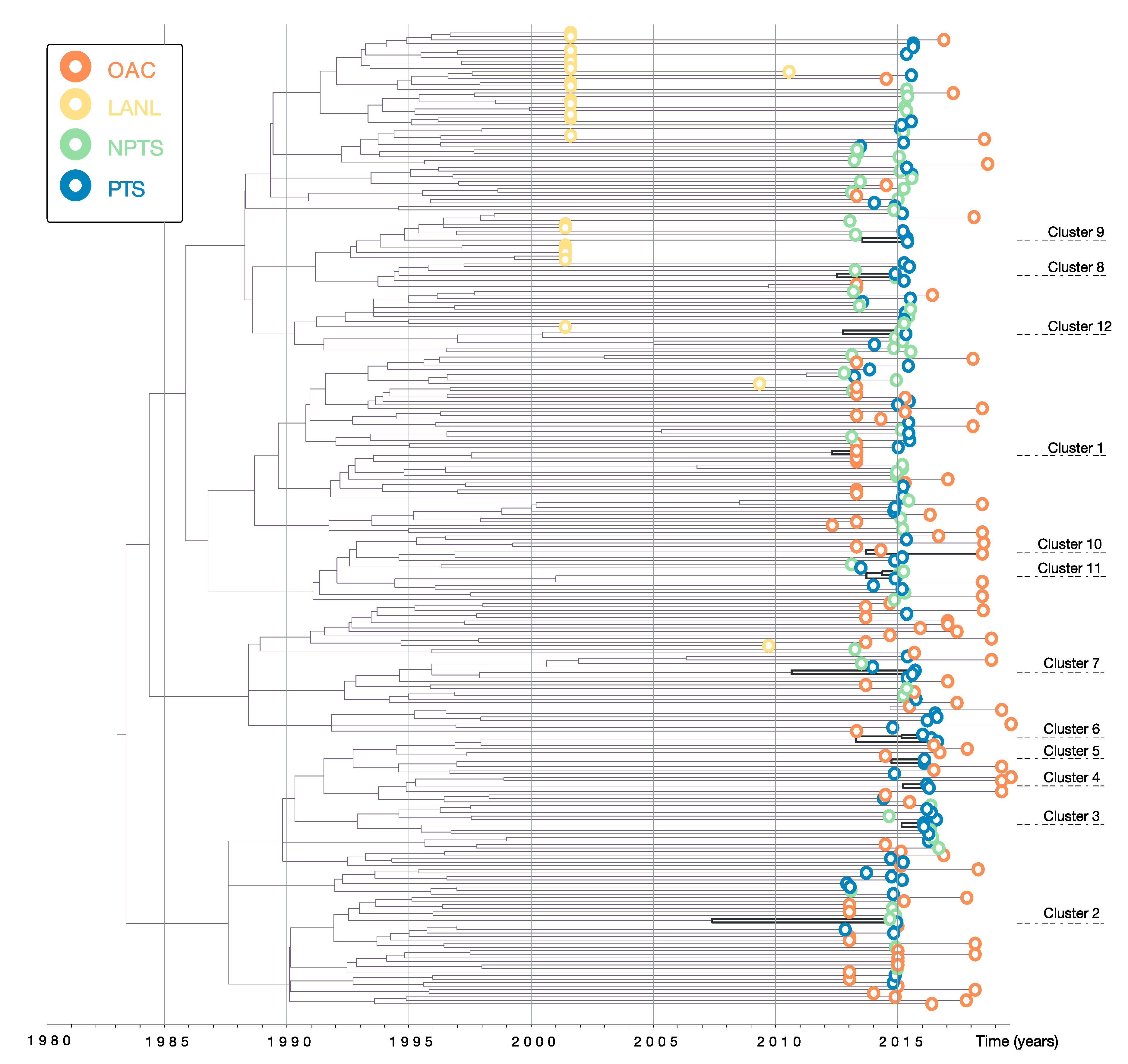 Viruses 12 00469 g002 Viruses 12 00469 g002