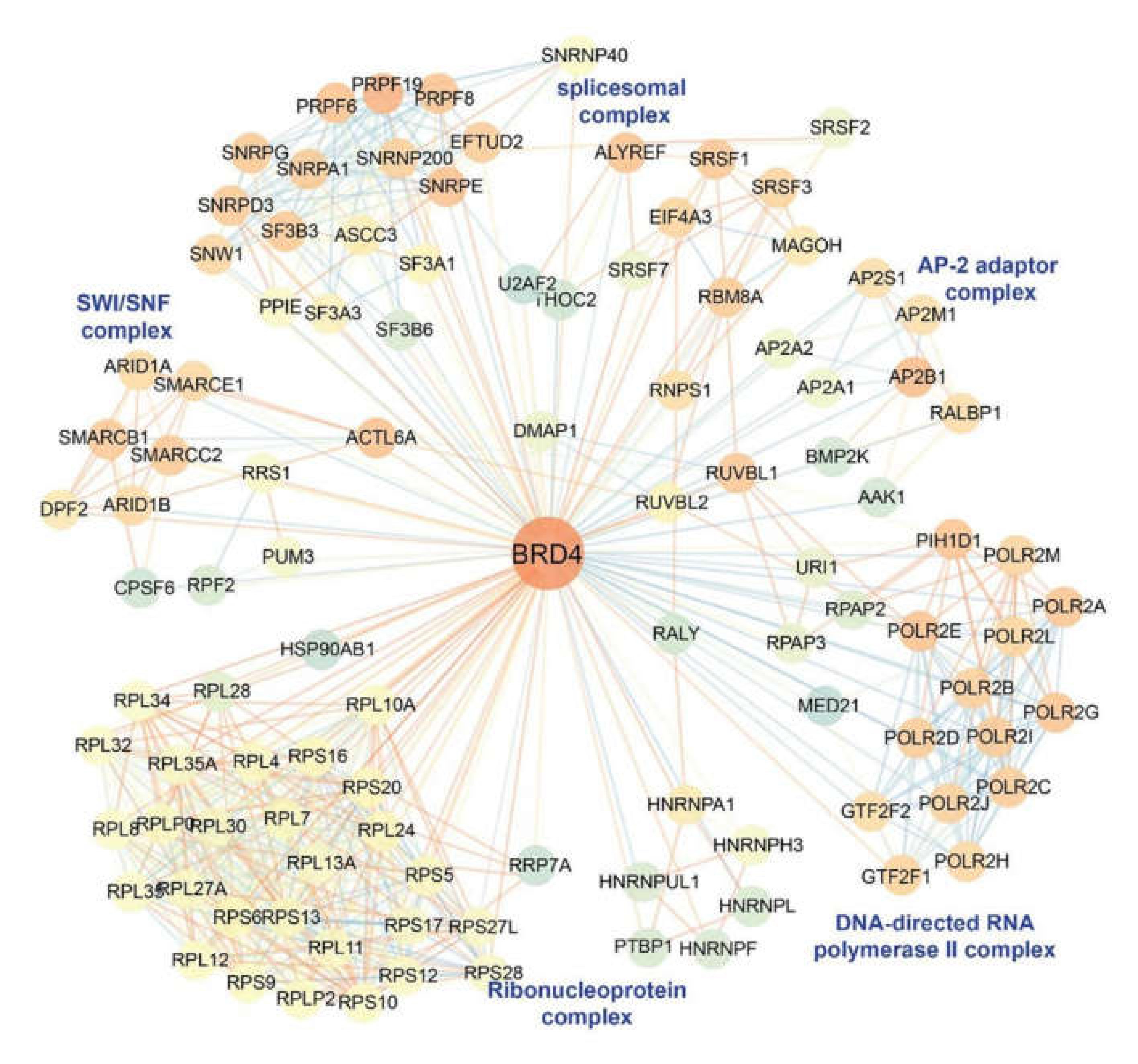Viruses 12 00472 g005
