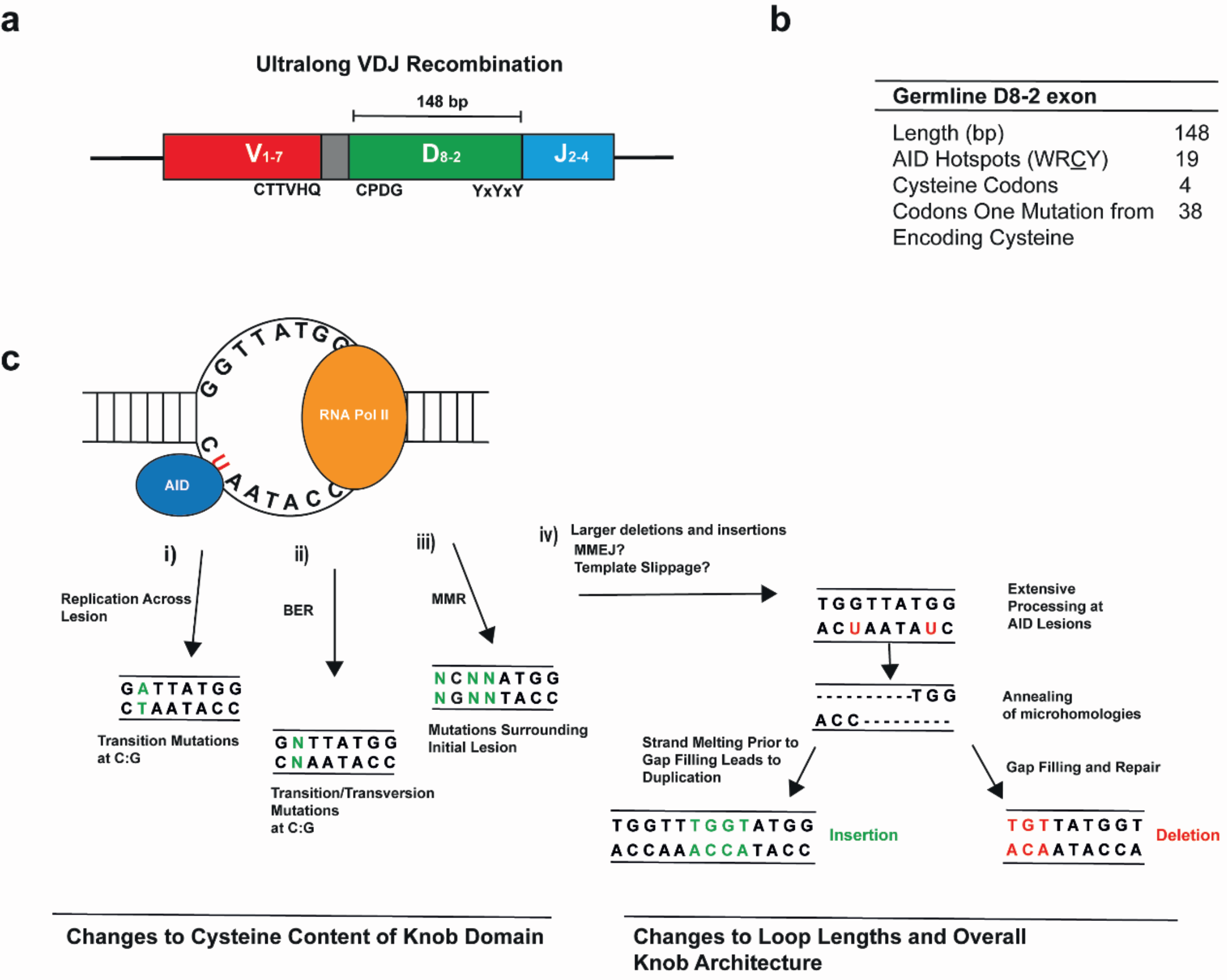 Viruses 12 00473 g002 Viruses 12 00473 g002