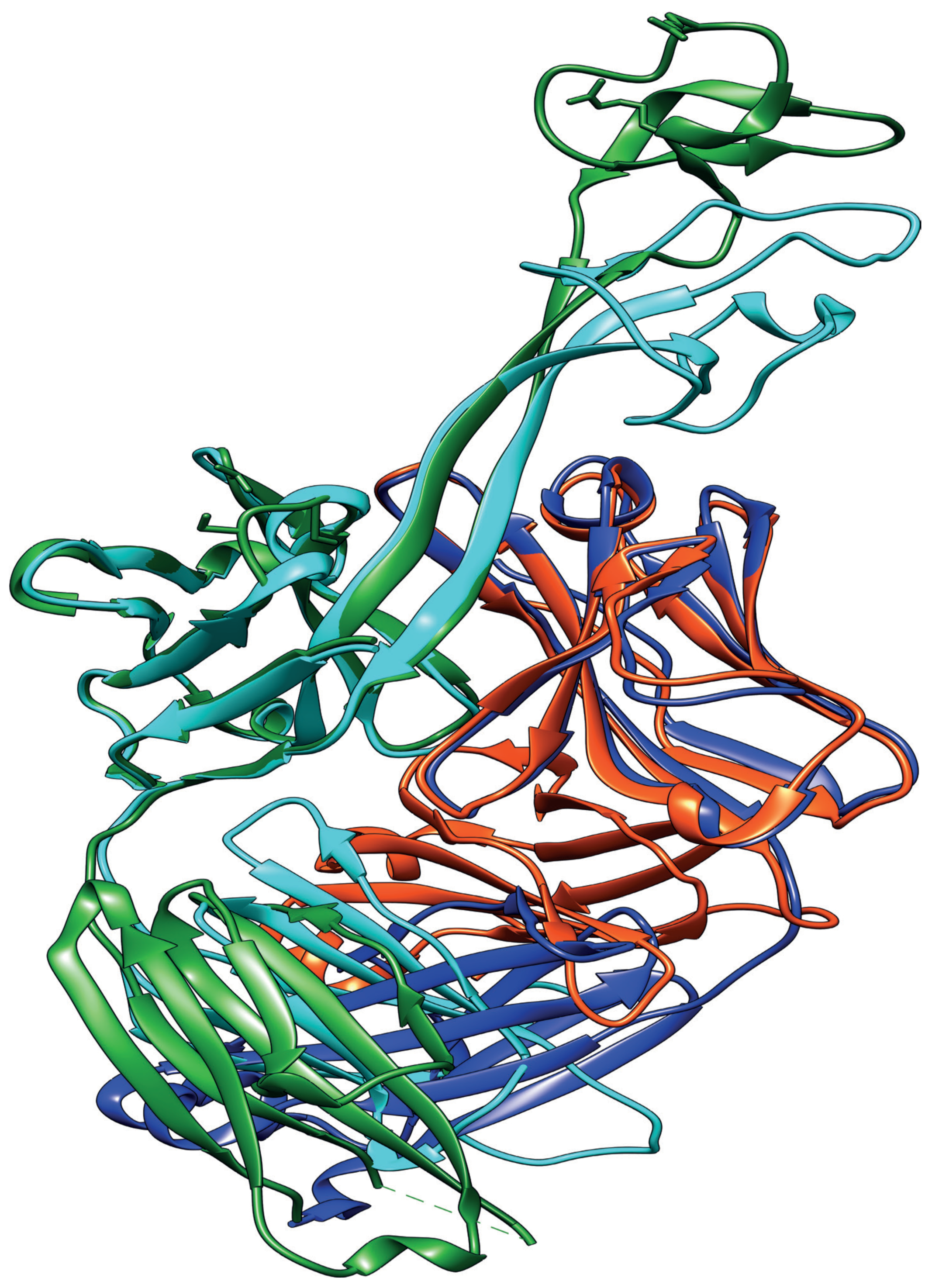 Viruses 12 00473 g003 Viruses 12 00473 g003