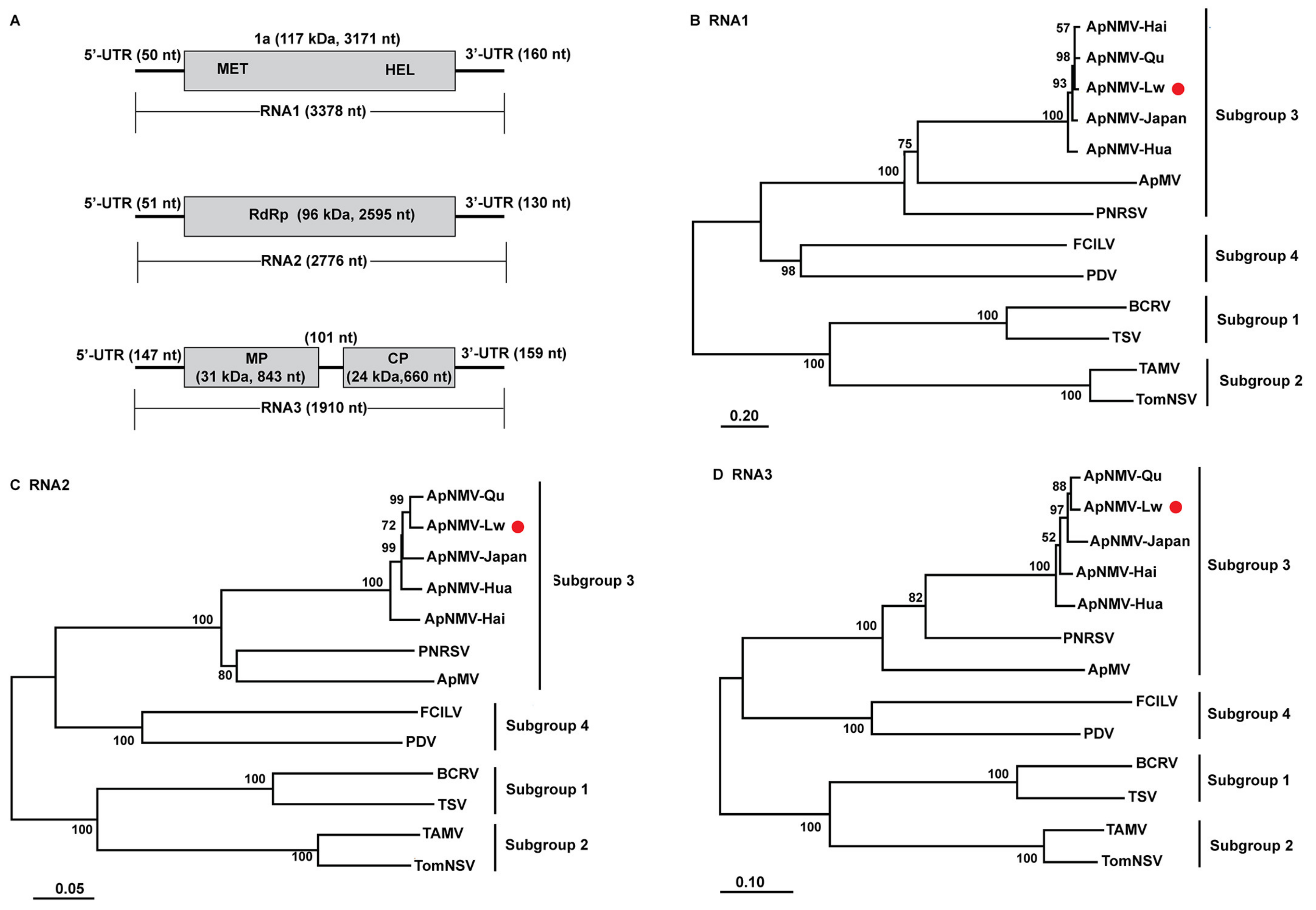 Viruses 12 00474 g001 Viruses 12 00474 g001