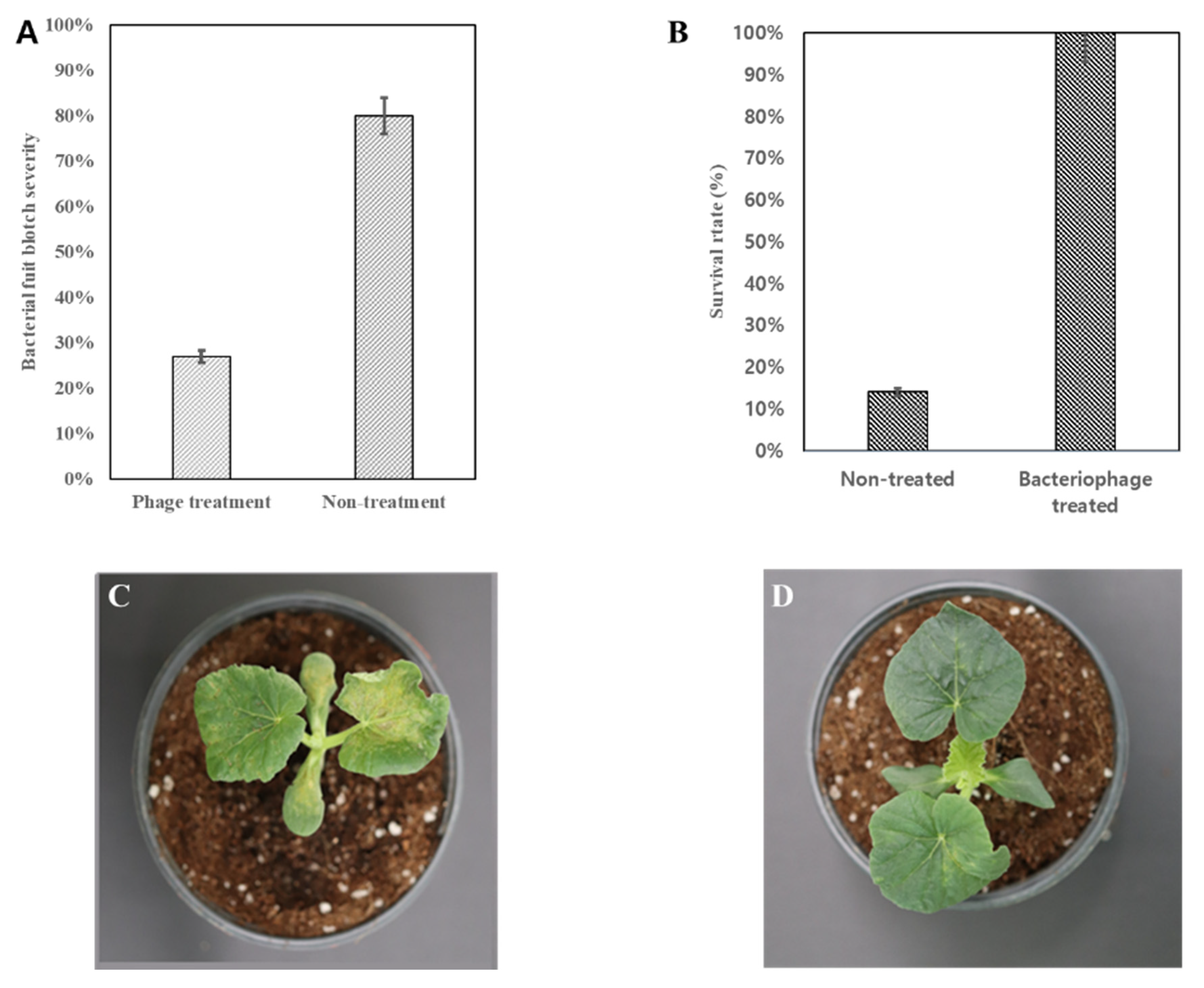 Viruses 12 00477 g004 Viruses 12 00477 g004