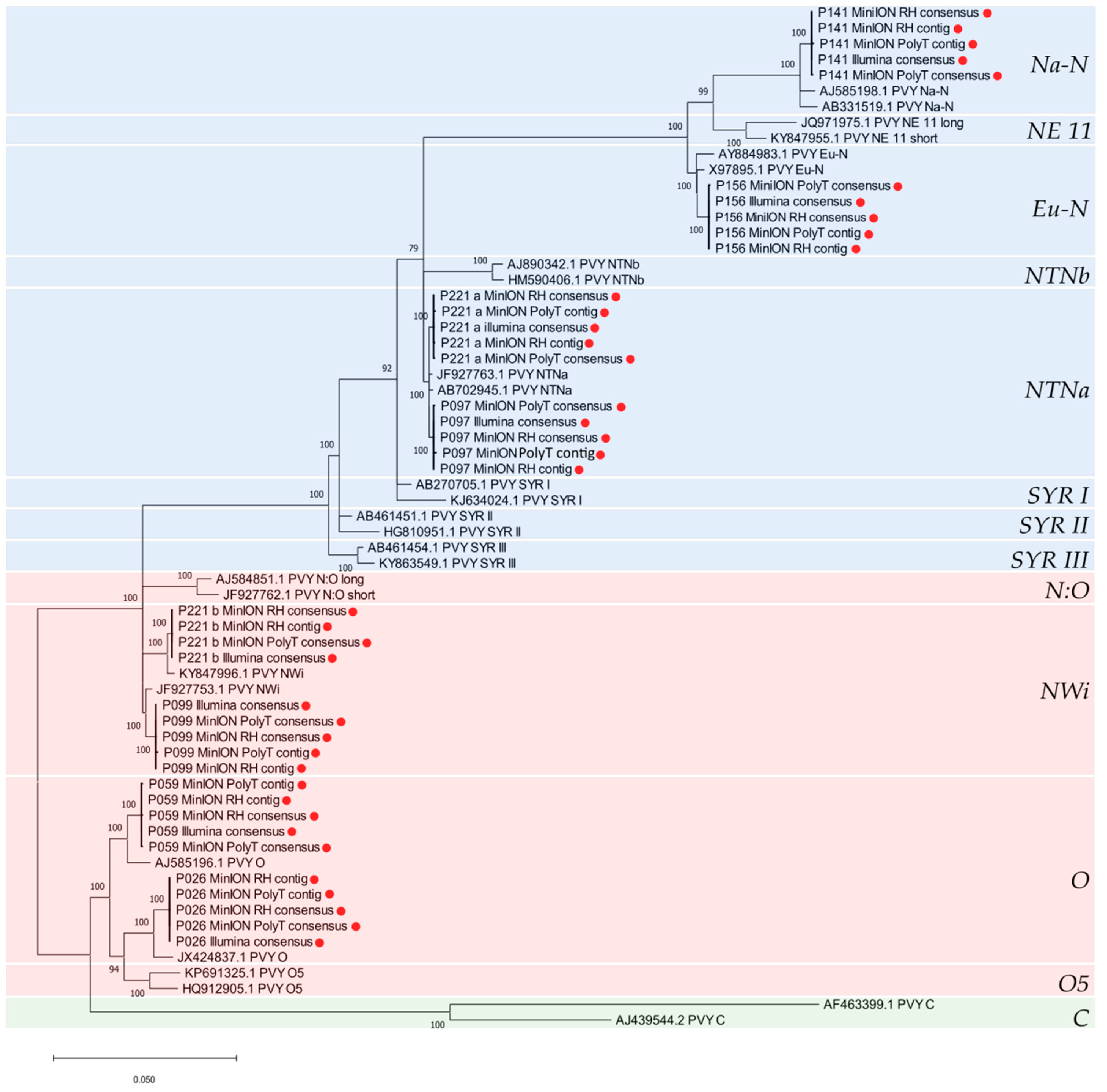 Viruses 12 00478 g005 Viruses 12 00478 g005