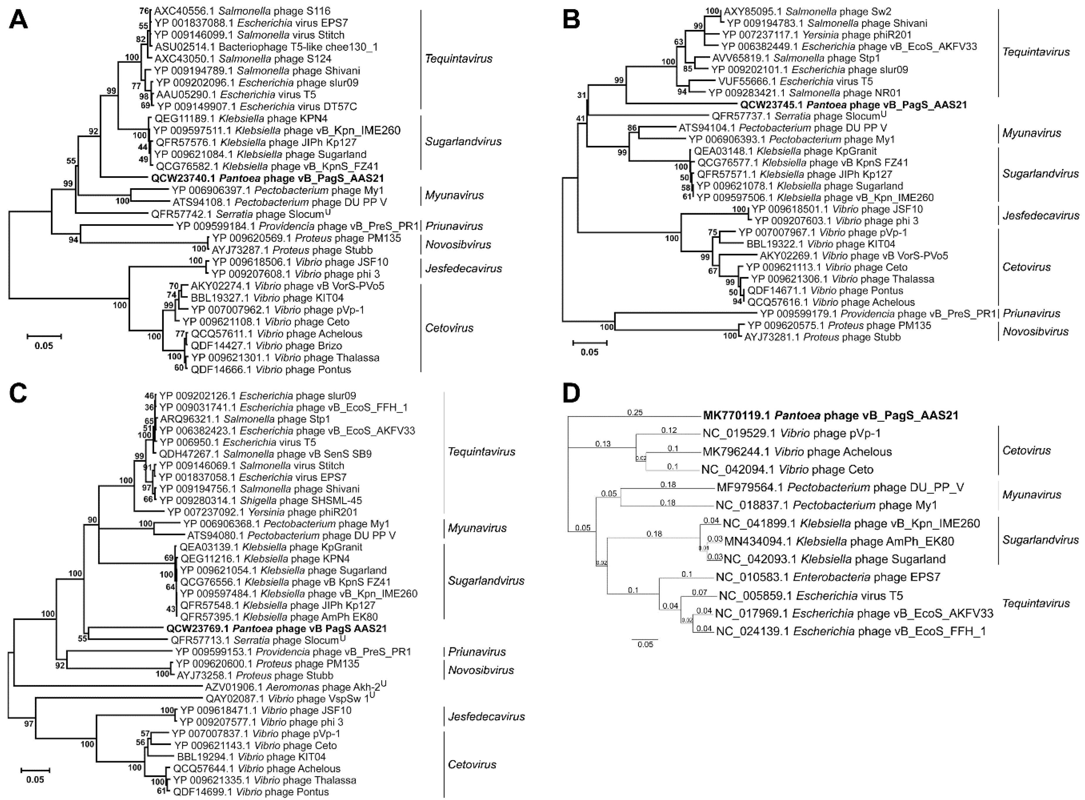 Viruses 12 00479 g003 Viruses 12 00479 g003