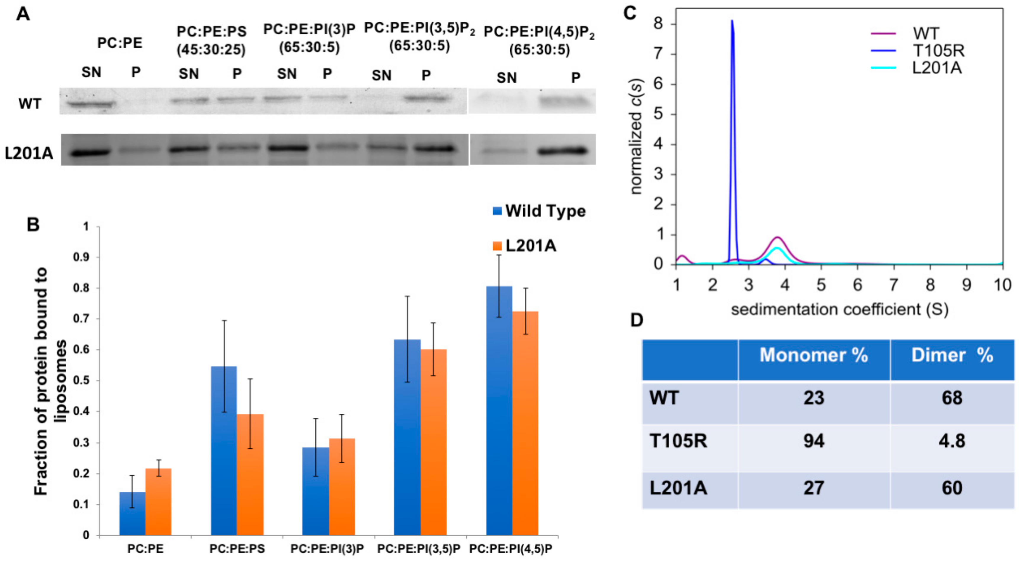Viruses 12 00482 g005
