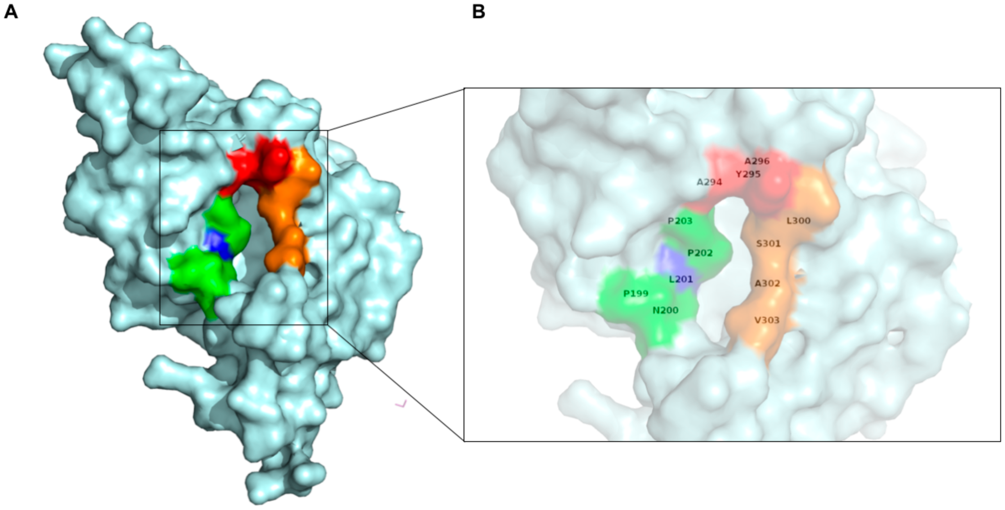 Viruses 12 00482 g009