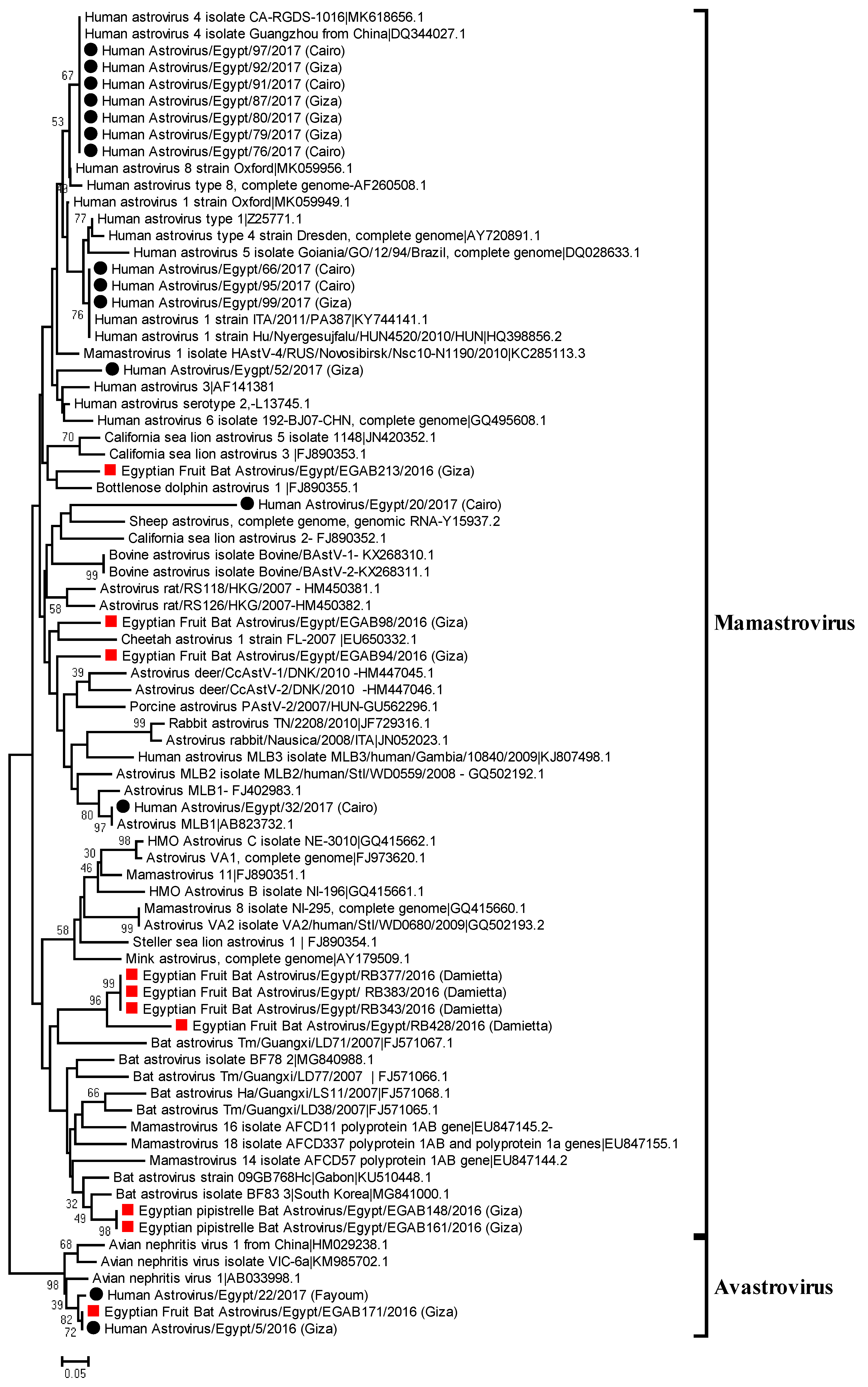 Viruses 12 00485 g001 Viruses 12 00485 g001