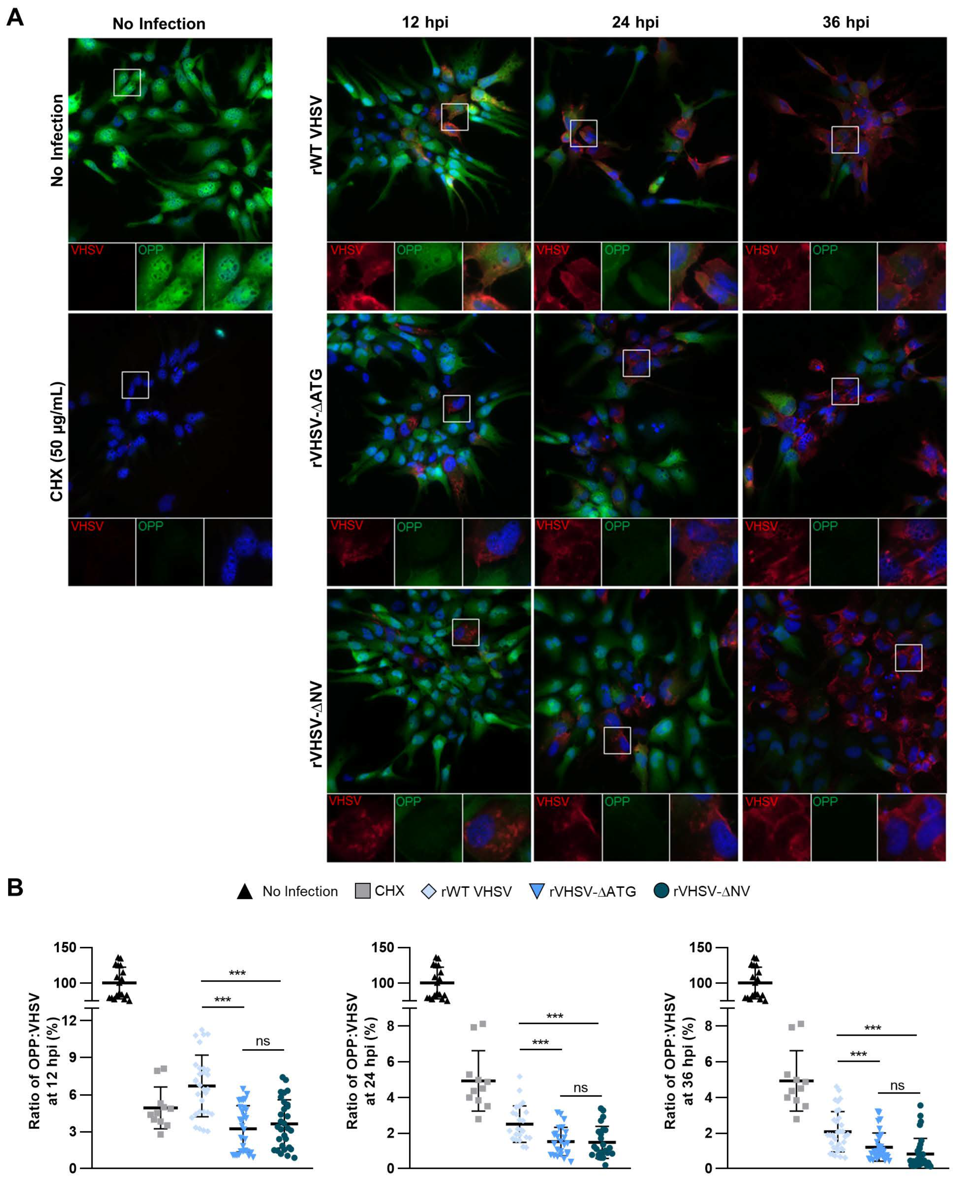 Viruses 12 00499 g004 Viruses 12 00499 g004