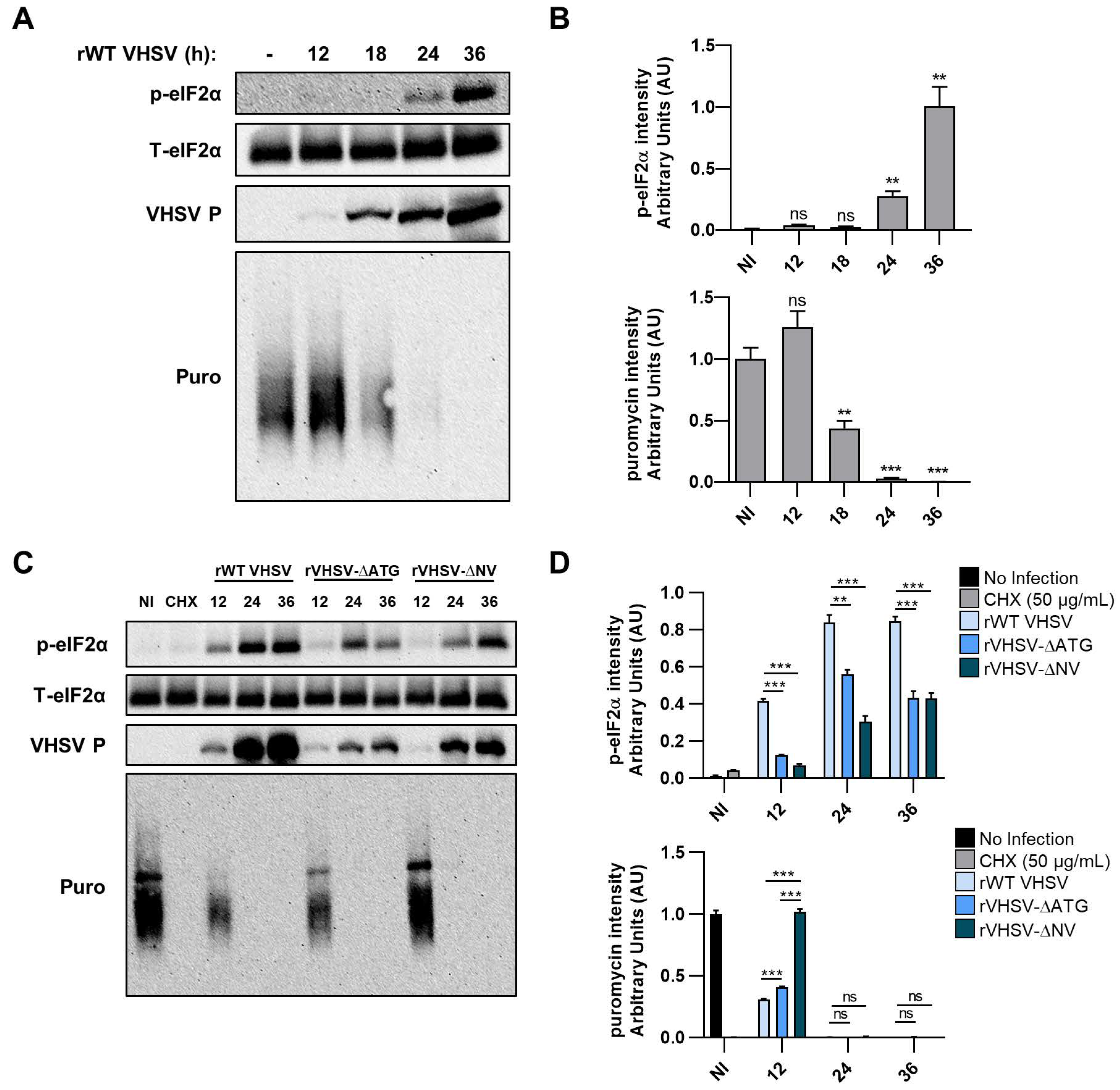 Viruses 12 00499 g005 Viruses 12 00499 g005