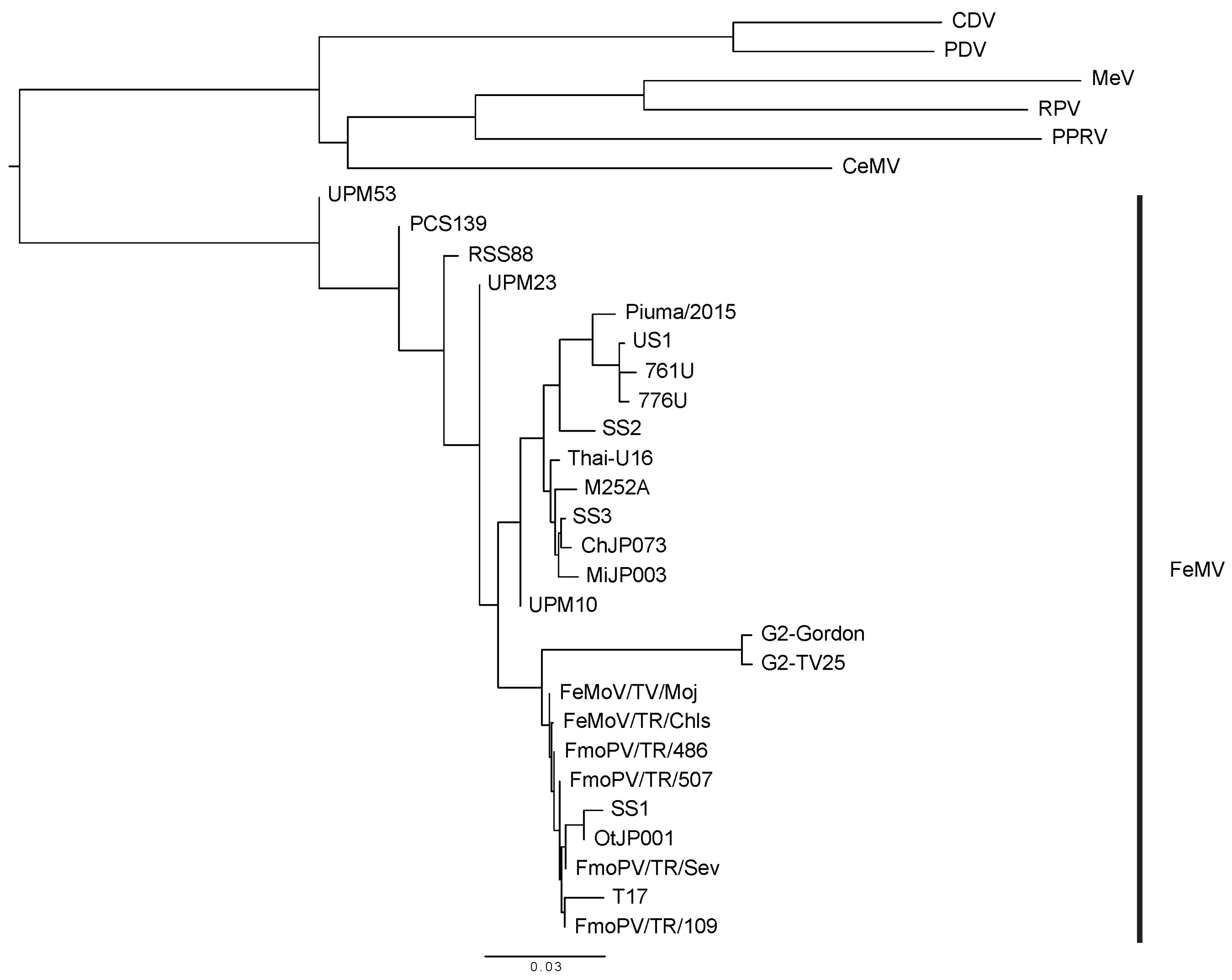 Viruses 12 00501 g002