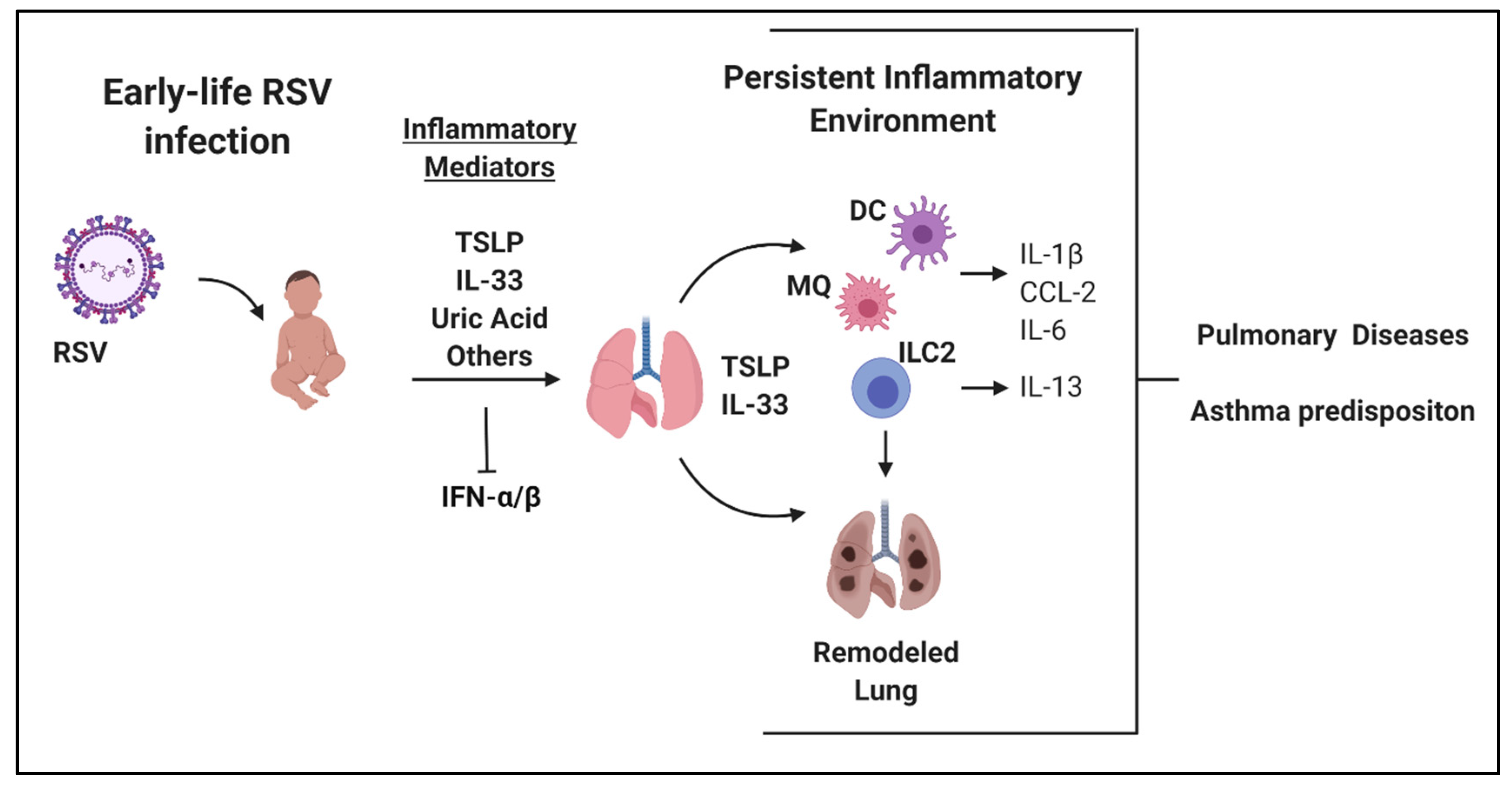 Respiratory syncytial virus