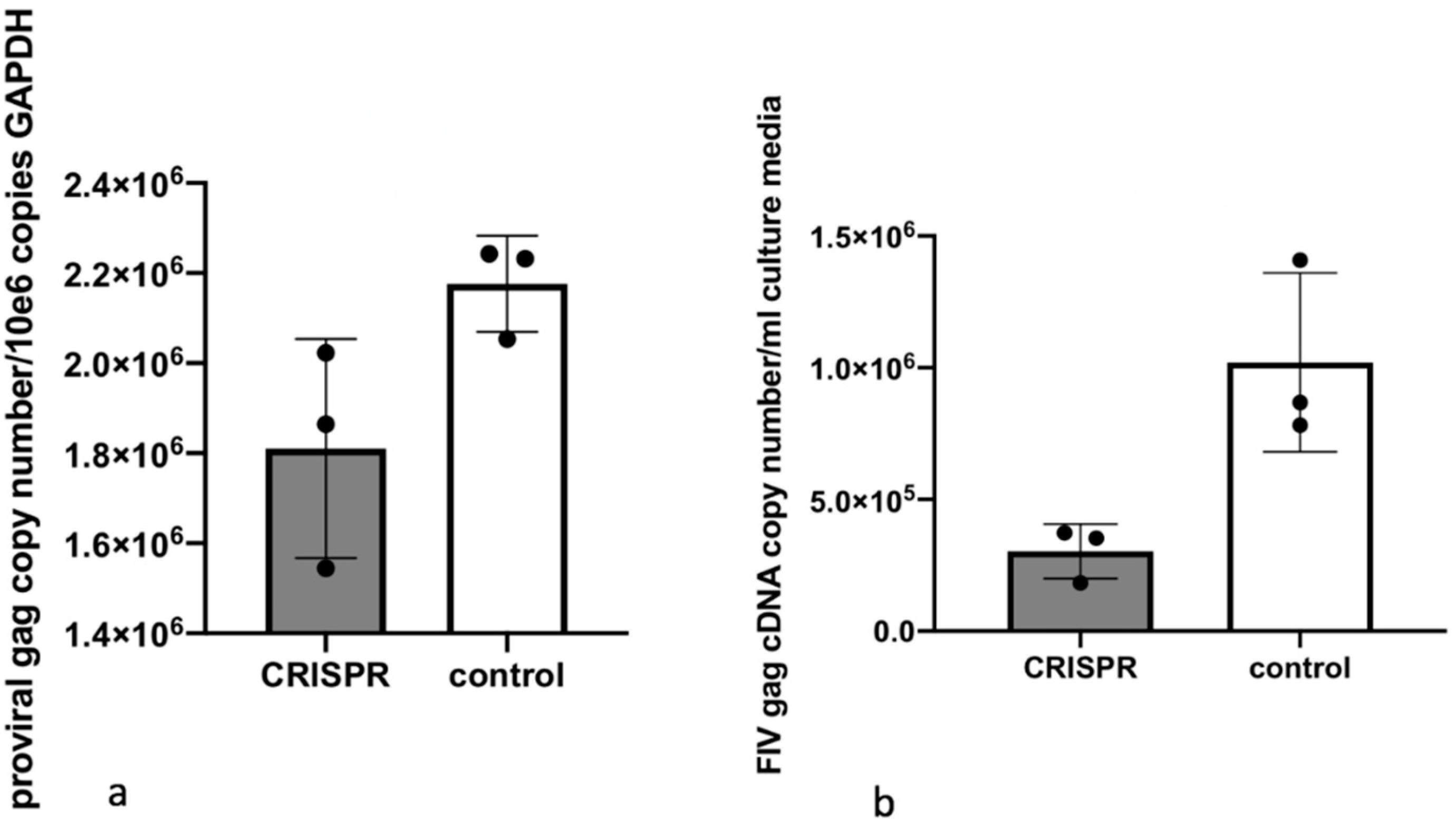 Viruses 12 00511 g007