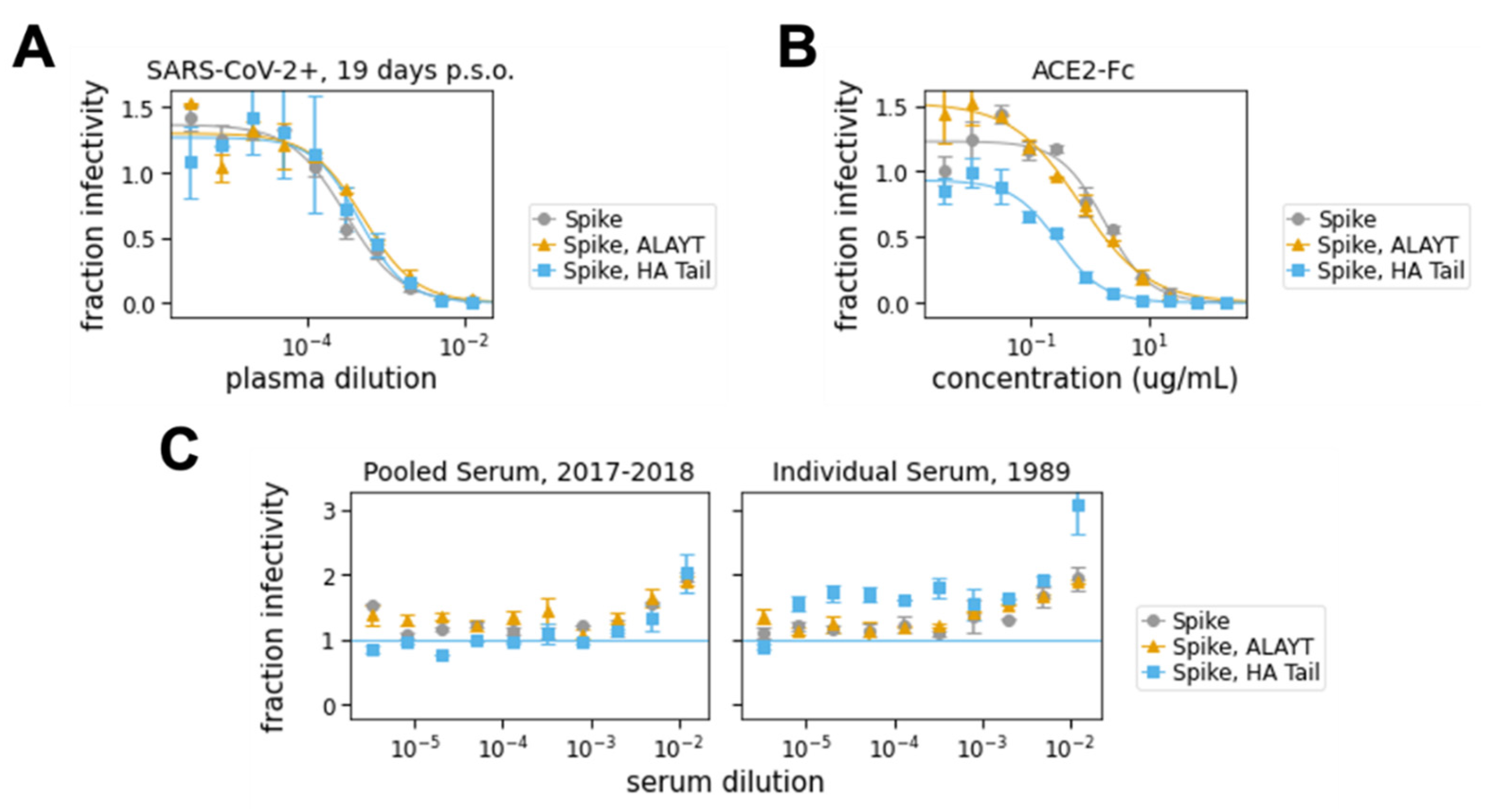 Viruses 12 00513 g004 Viruses 12 00513 g004