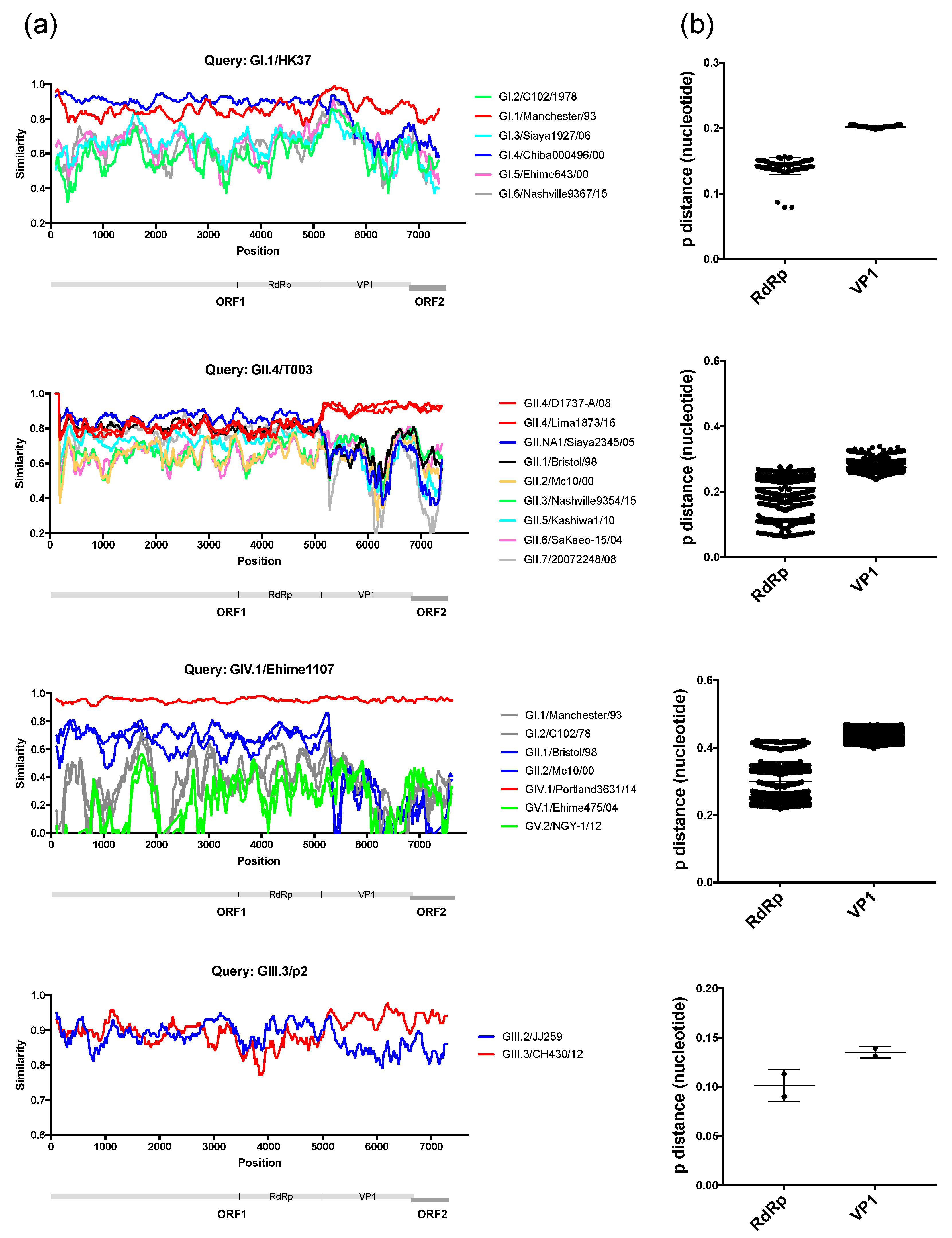 Viruses 12 00516 g007 Viruses 12 00516 g007