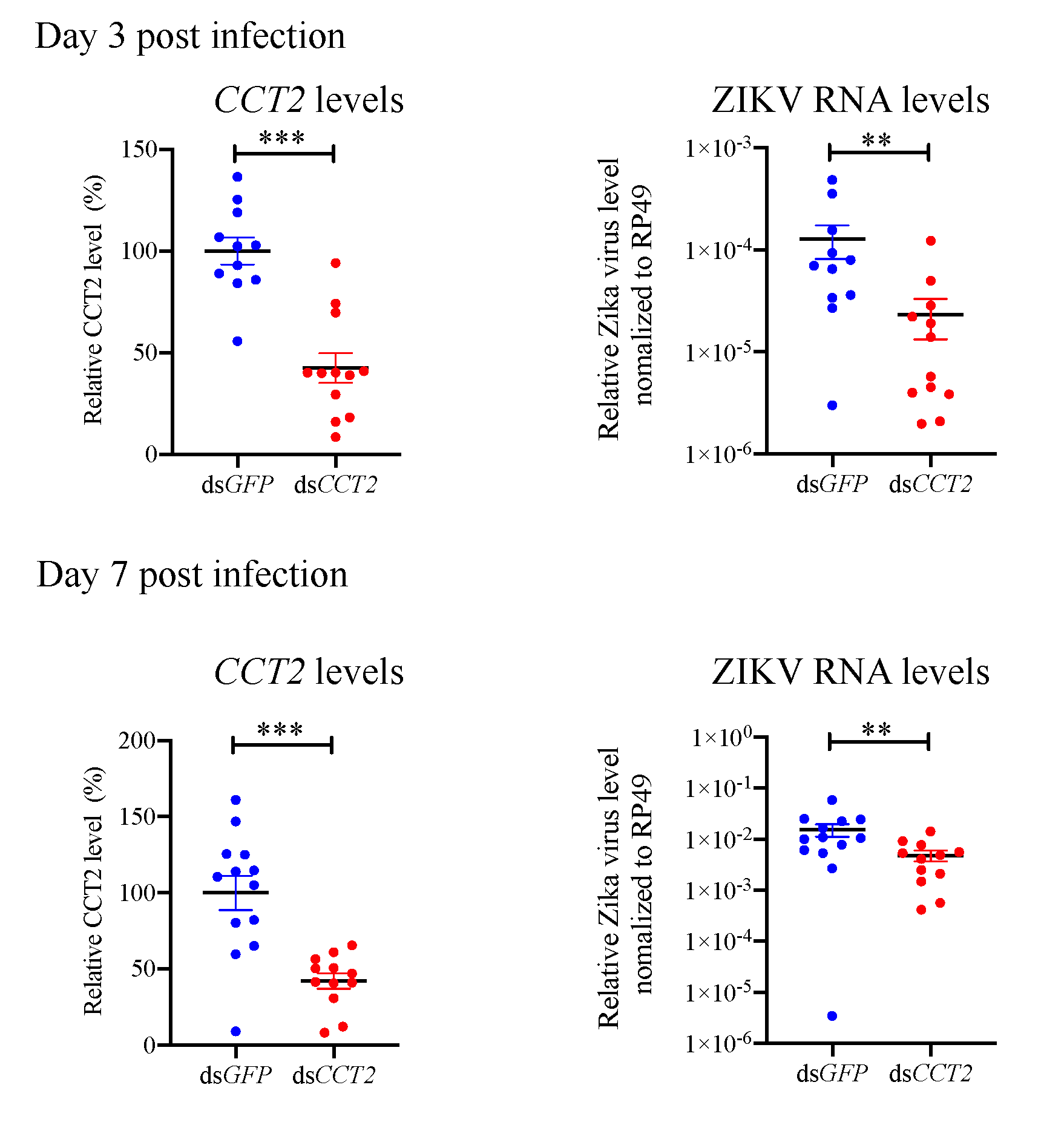 Viruses 12 00519 g006 Viruses 12 00519 g006