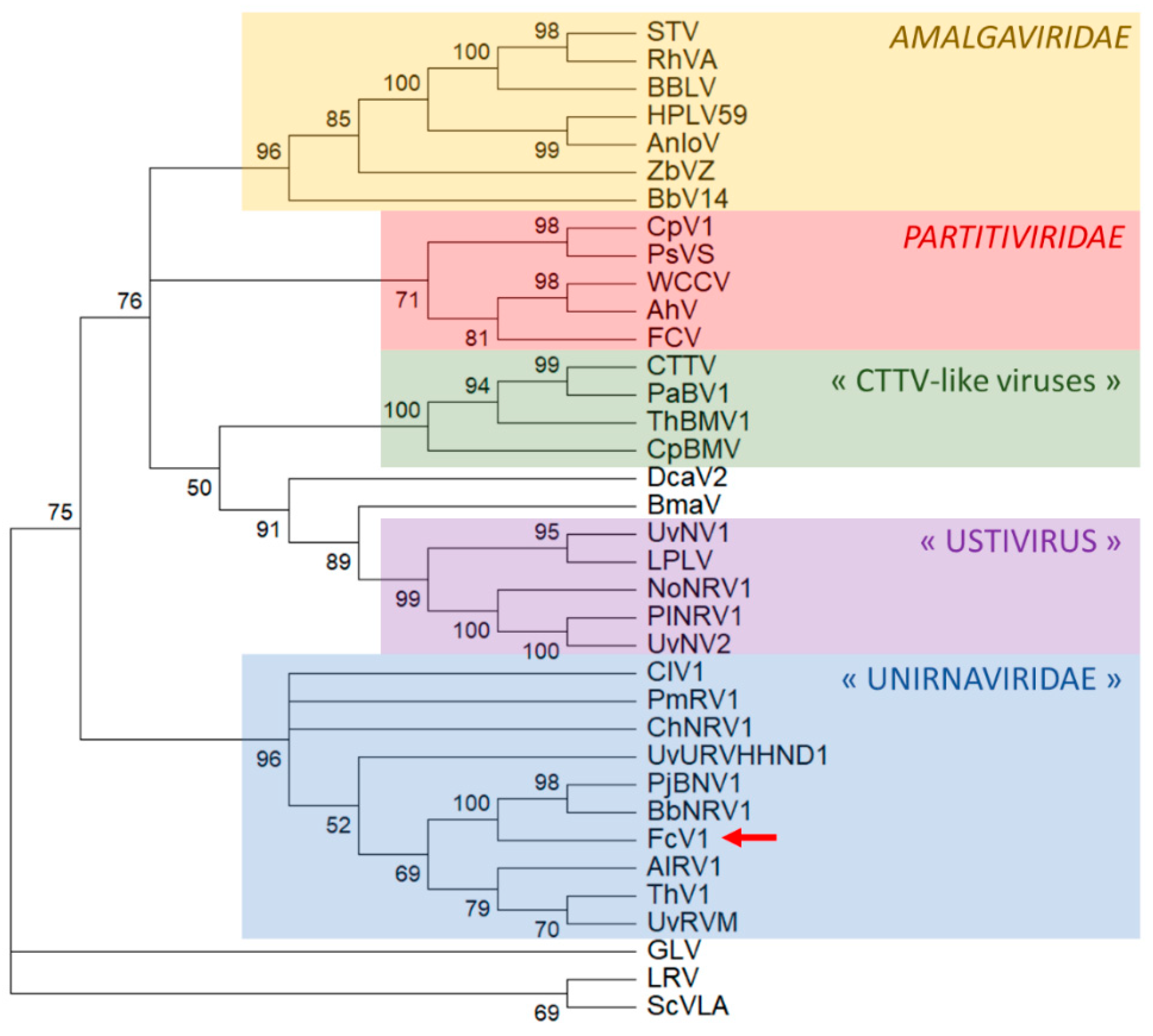 Viruses 12 00523 g006