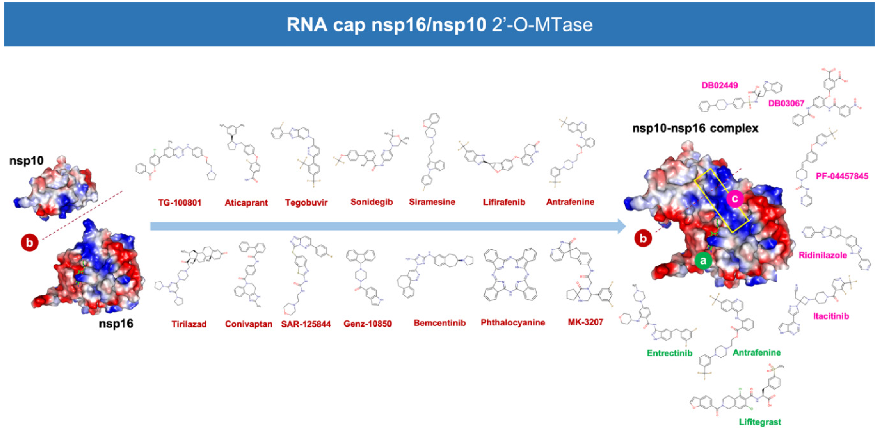 Viruses 12 00525 g002