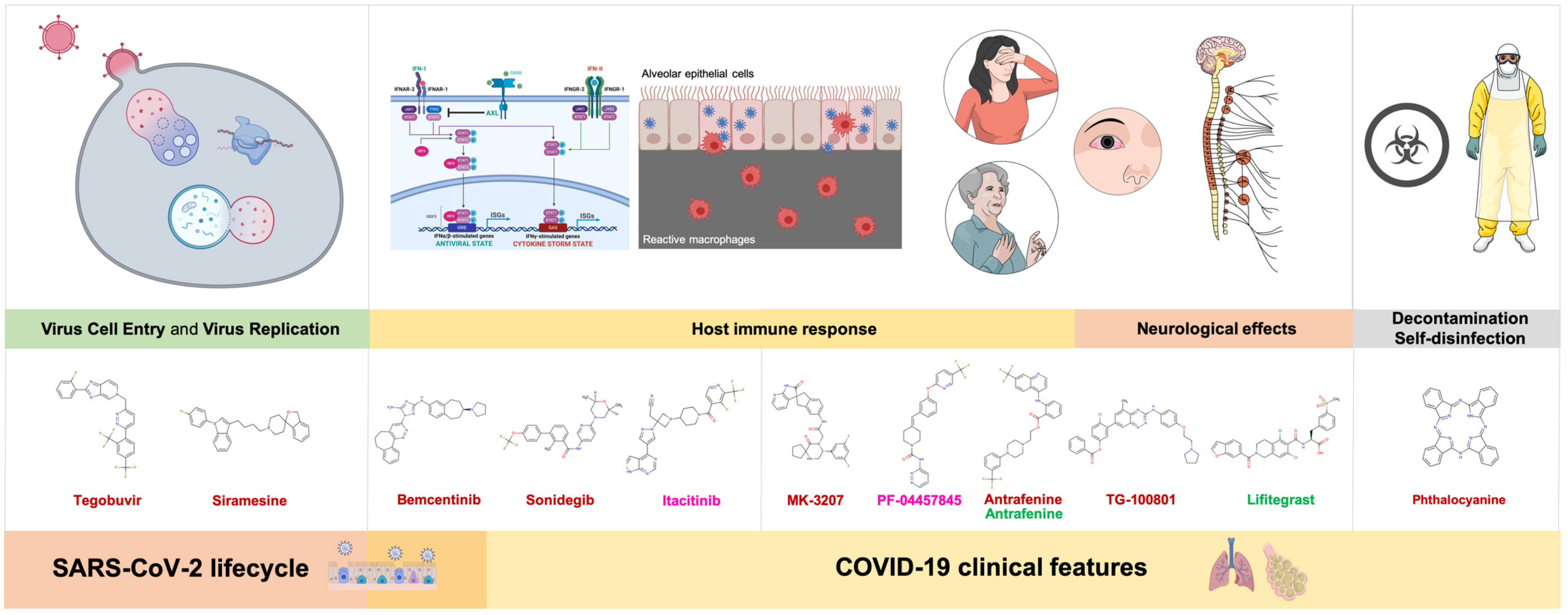 Viruses 12 00525 g006