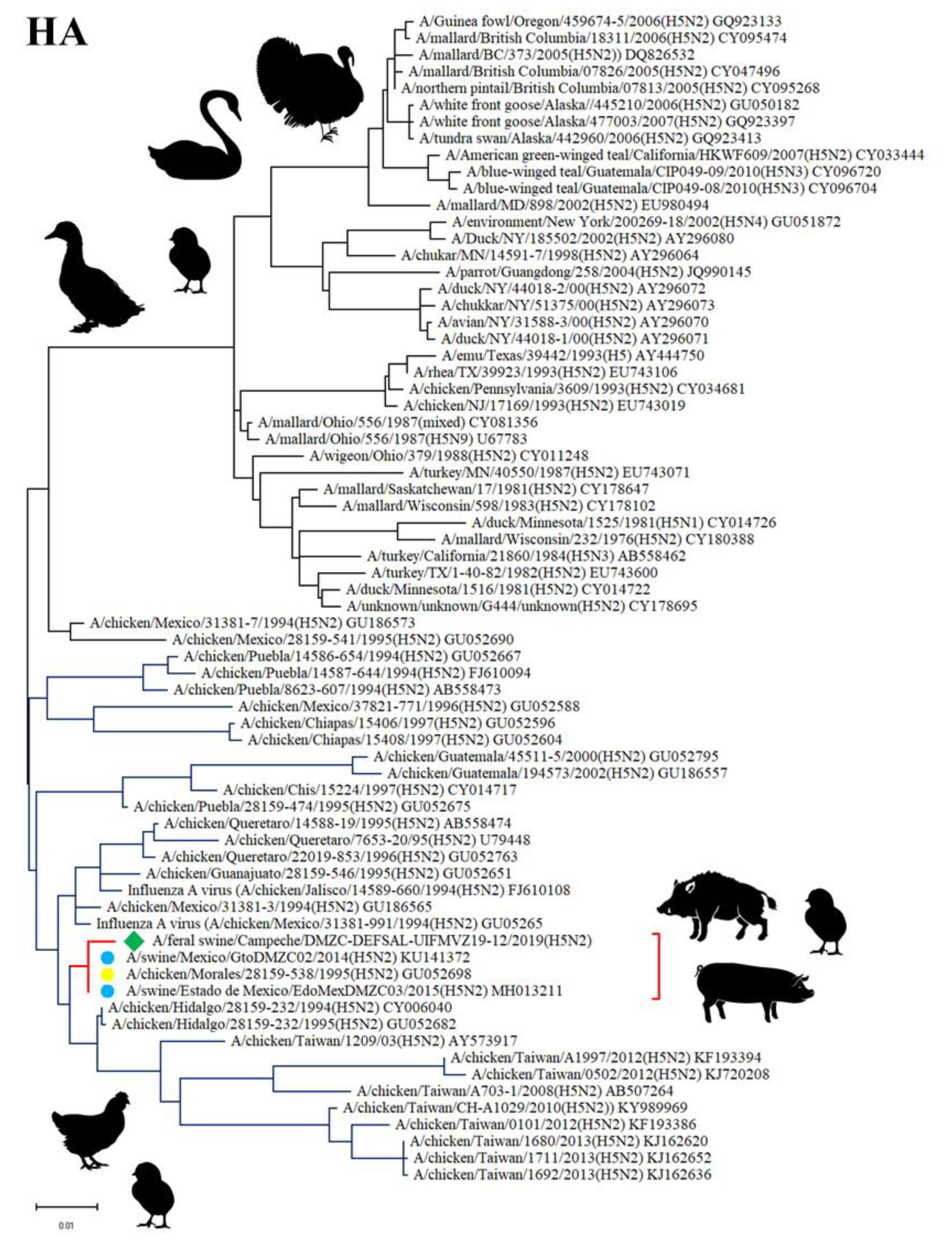 Viruses 12 00528 g002