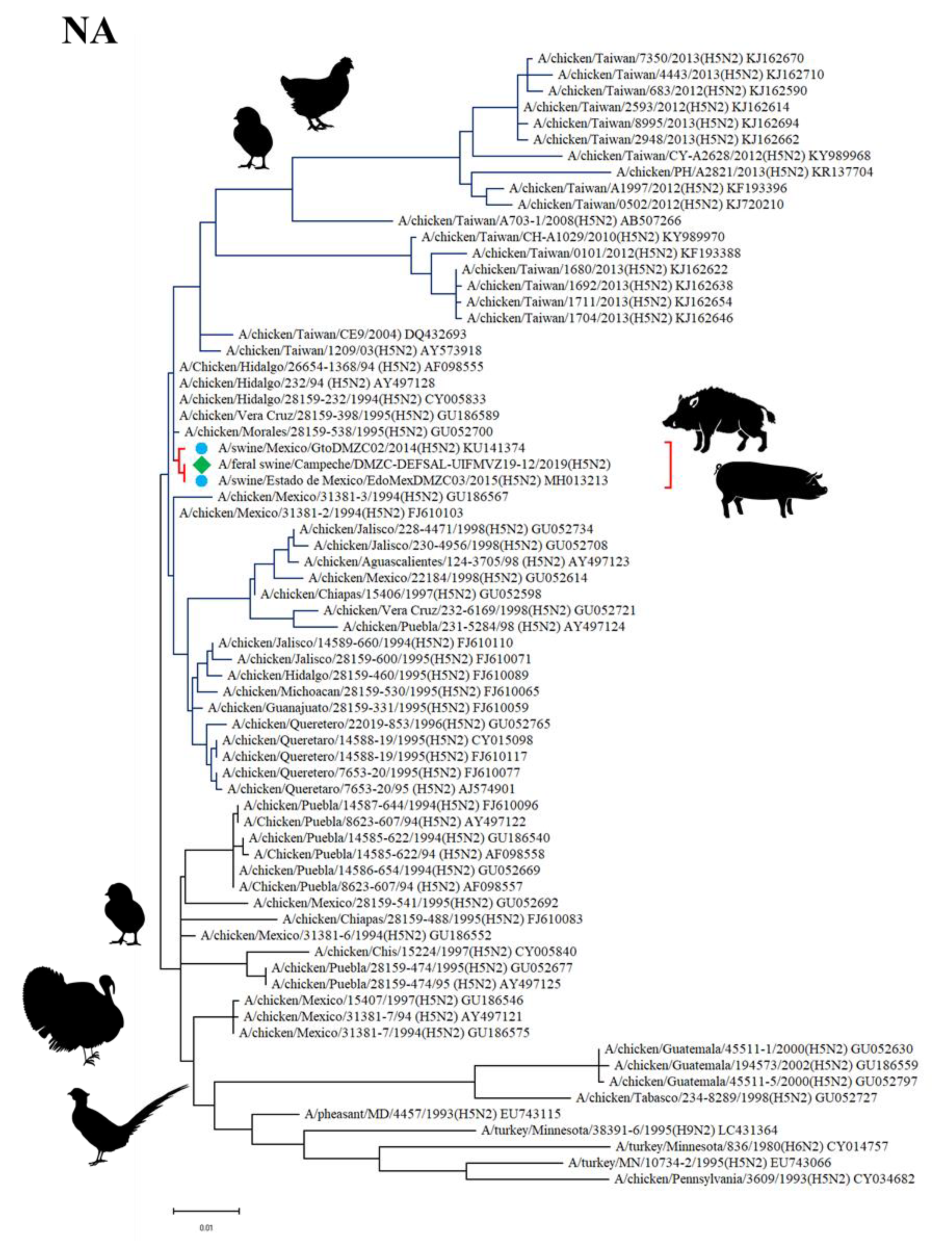 Viruses 12 00528 g003