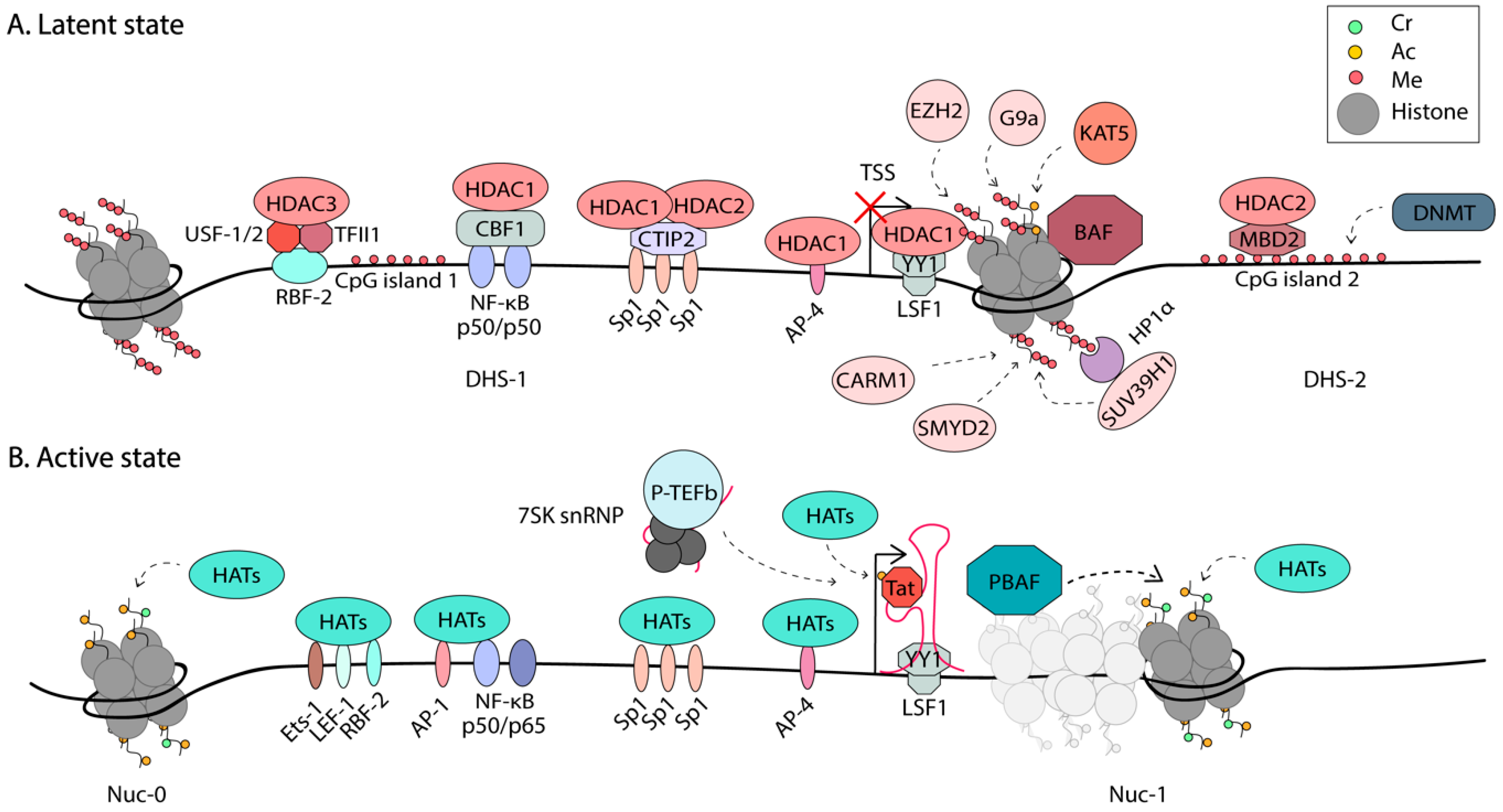 Viruses 12 00529 g002