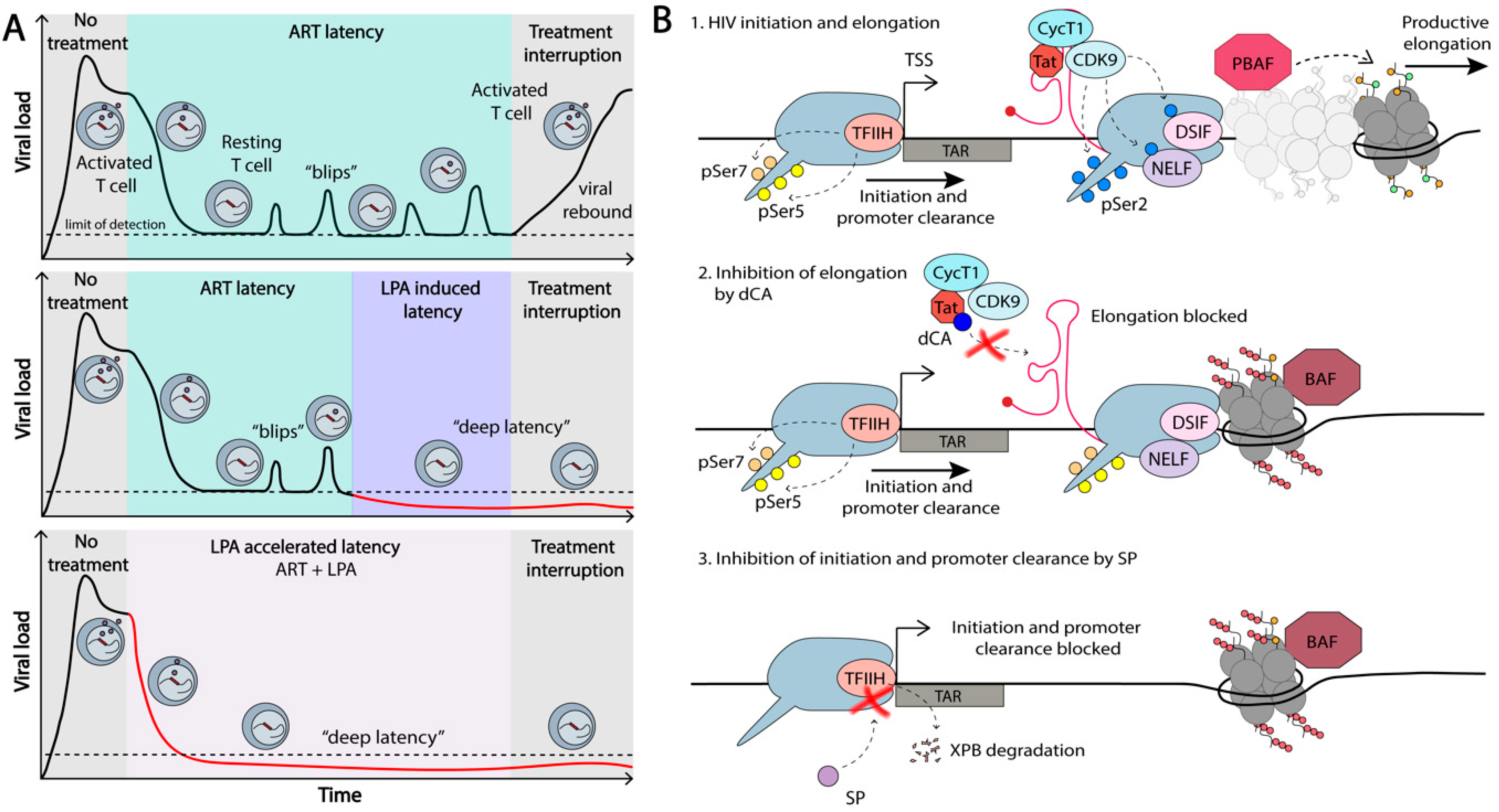 Viruses 12 00529 g006