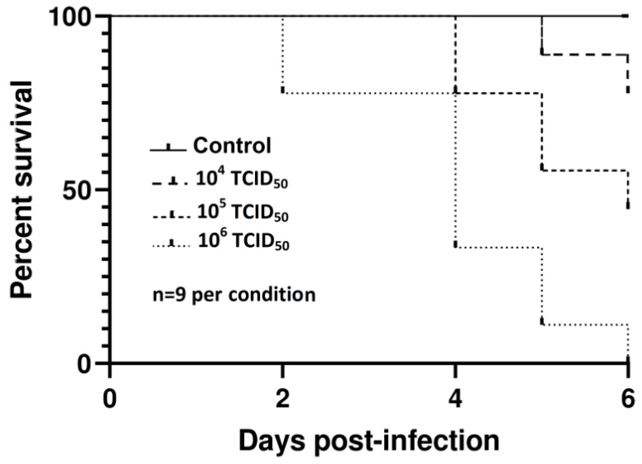 Viruses Free Full Text Usutu Virus Infection Of Embryonated Chicken Eggs And A Chicken Embryo Derived Primary Cell Line Html