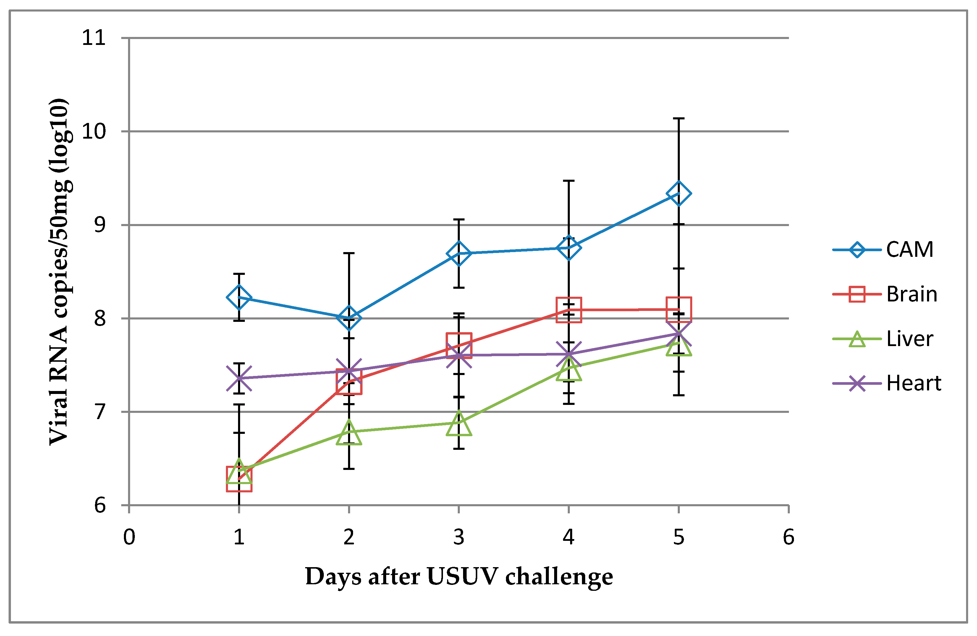 Viruses 12 00531 g007 Viruses 12 00531 g007