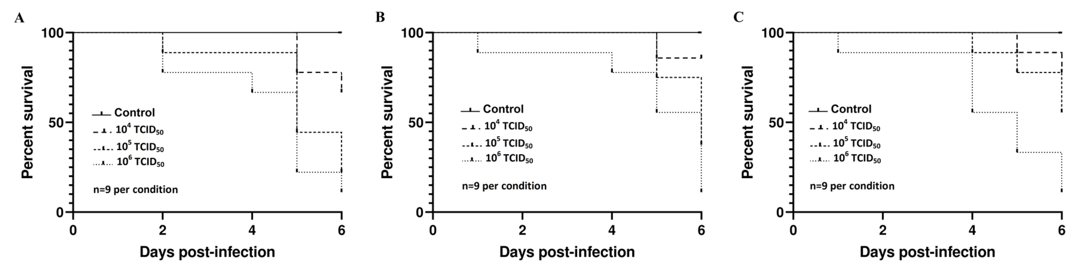 Viruses 12 00531 g008 Viruses 12 00531 g008