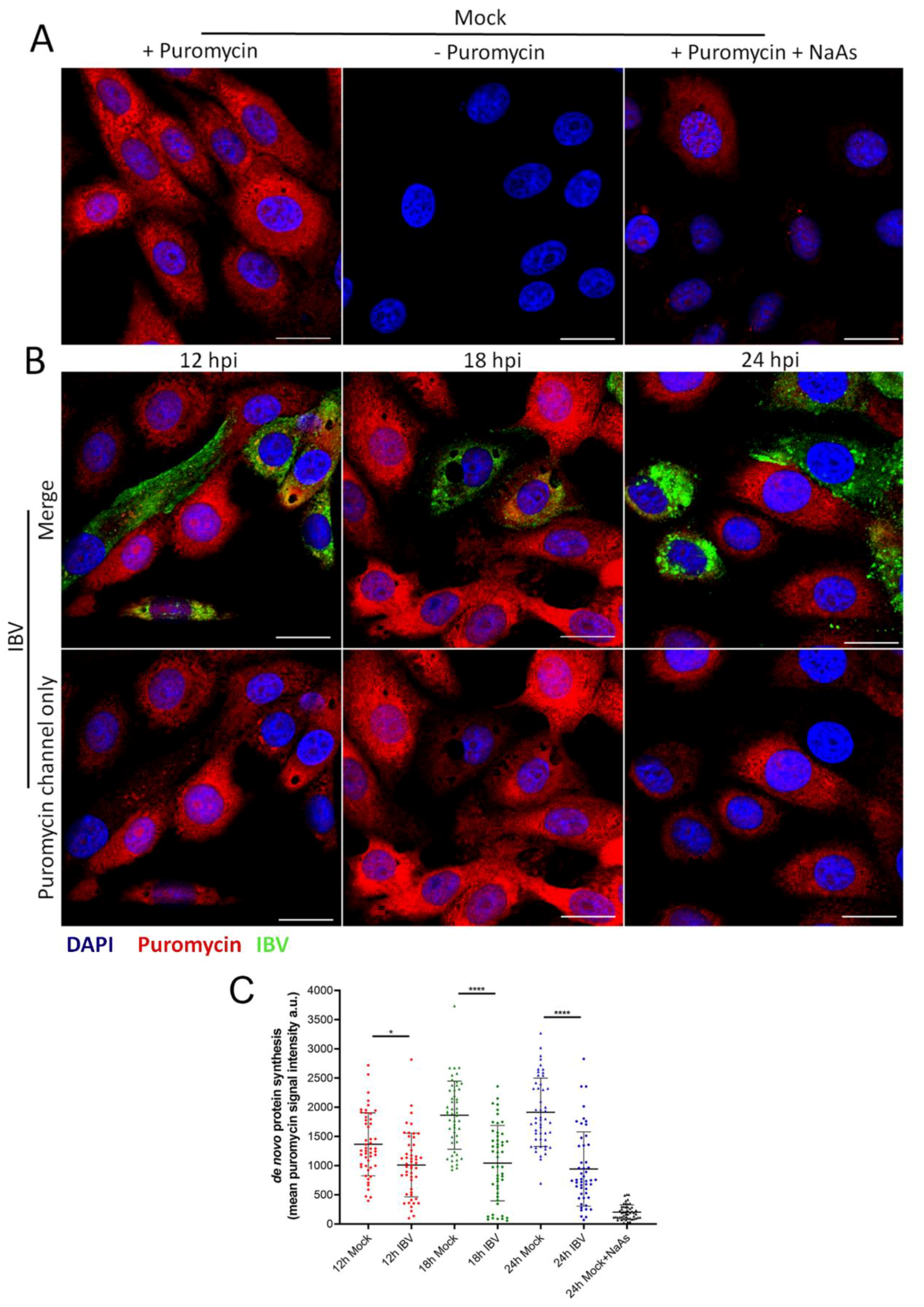 Viruses 12 00536 g007