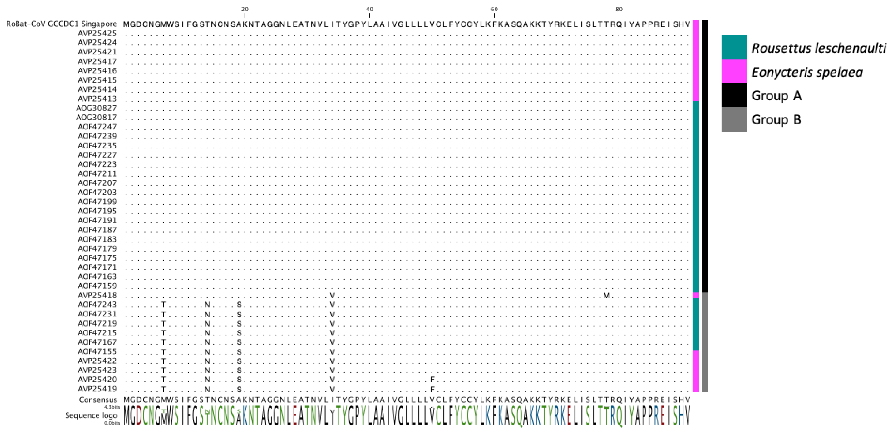 Viruses 12 00539 g003 Viruses 12 00539 g003