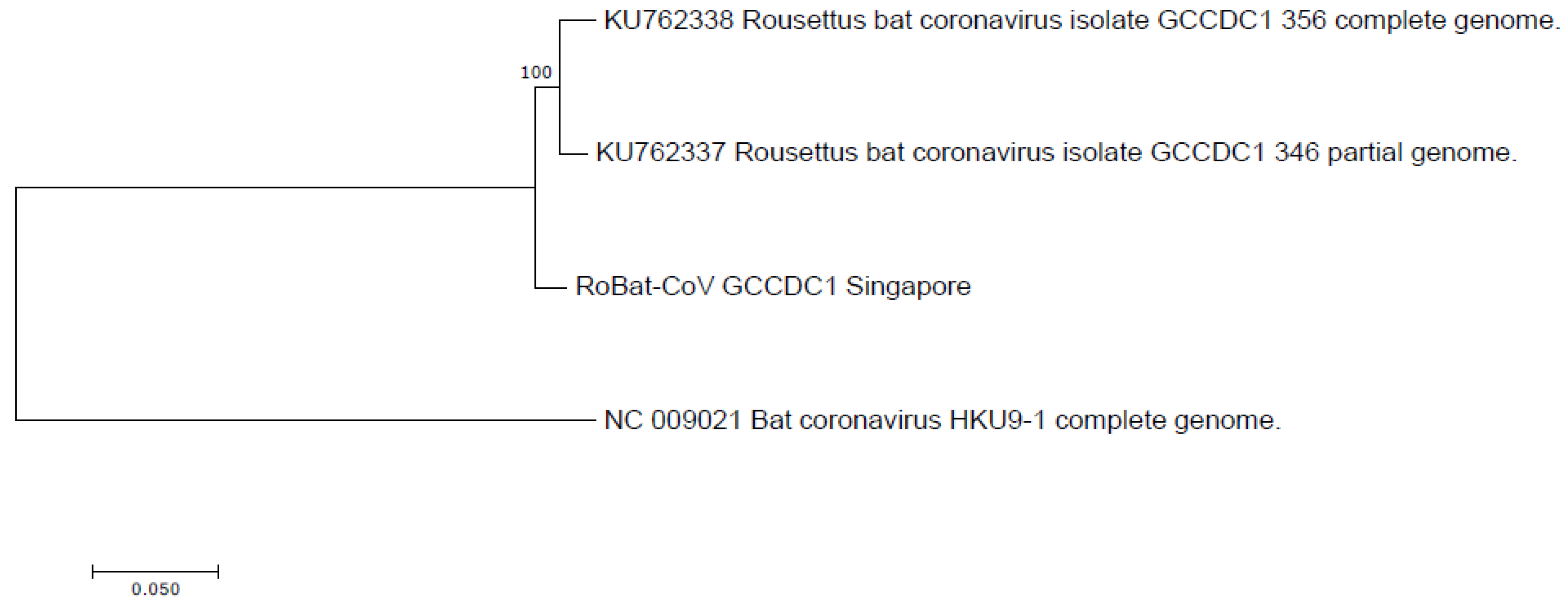 Viruses 12 00539 g004 Viruses 12 00539 g004