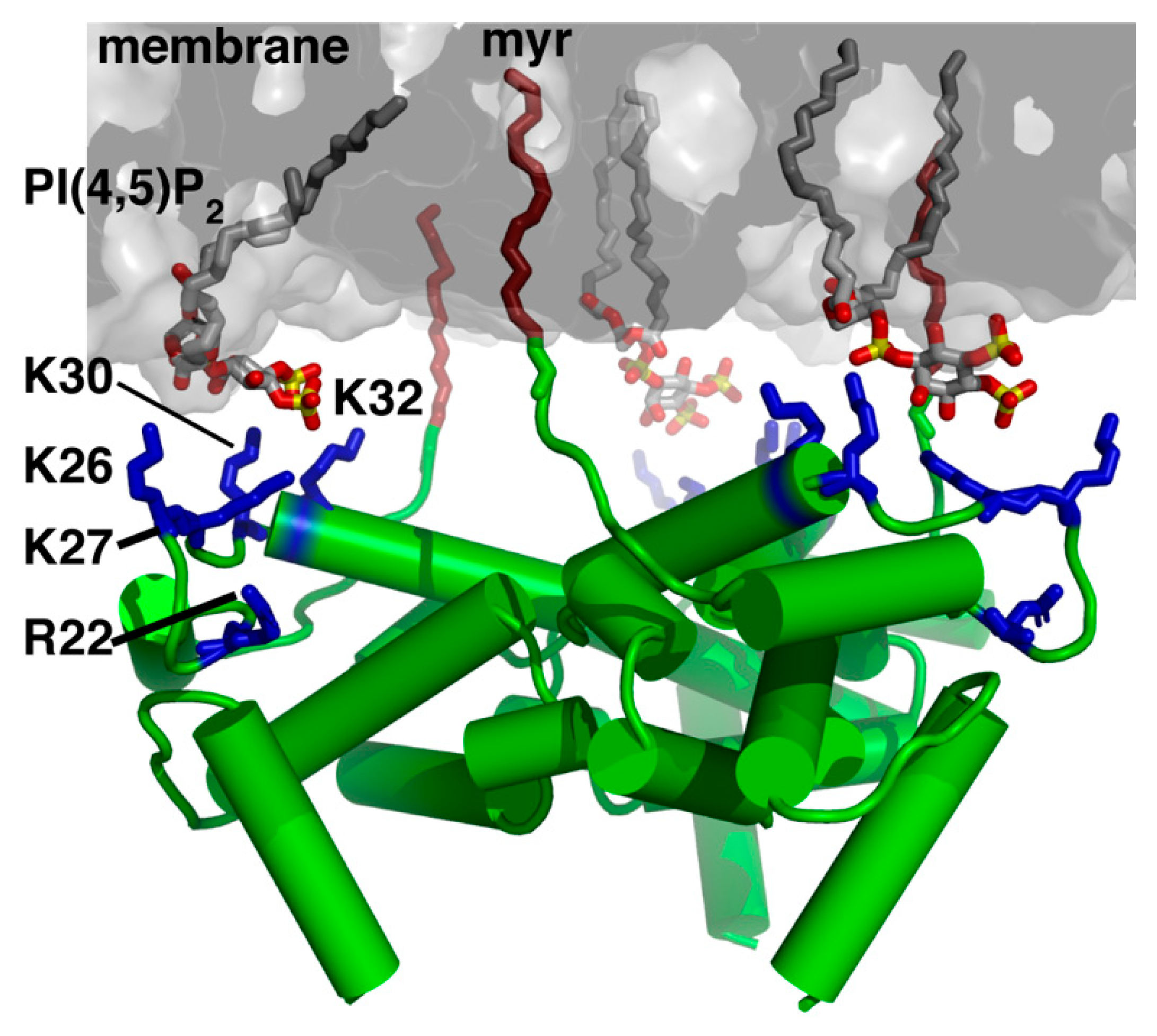 Viruses 12 00548 g002 Viruses 12 00548 g002