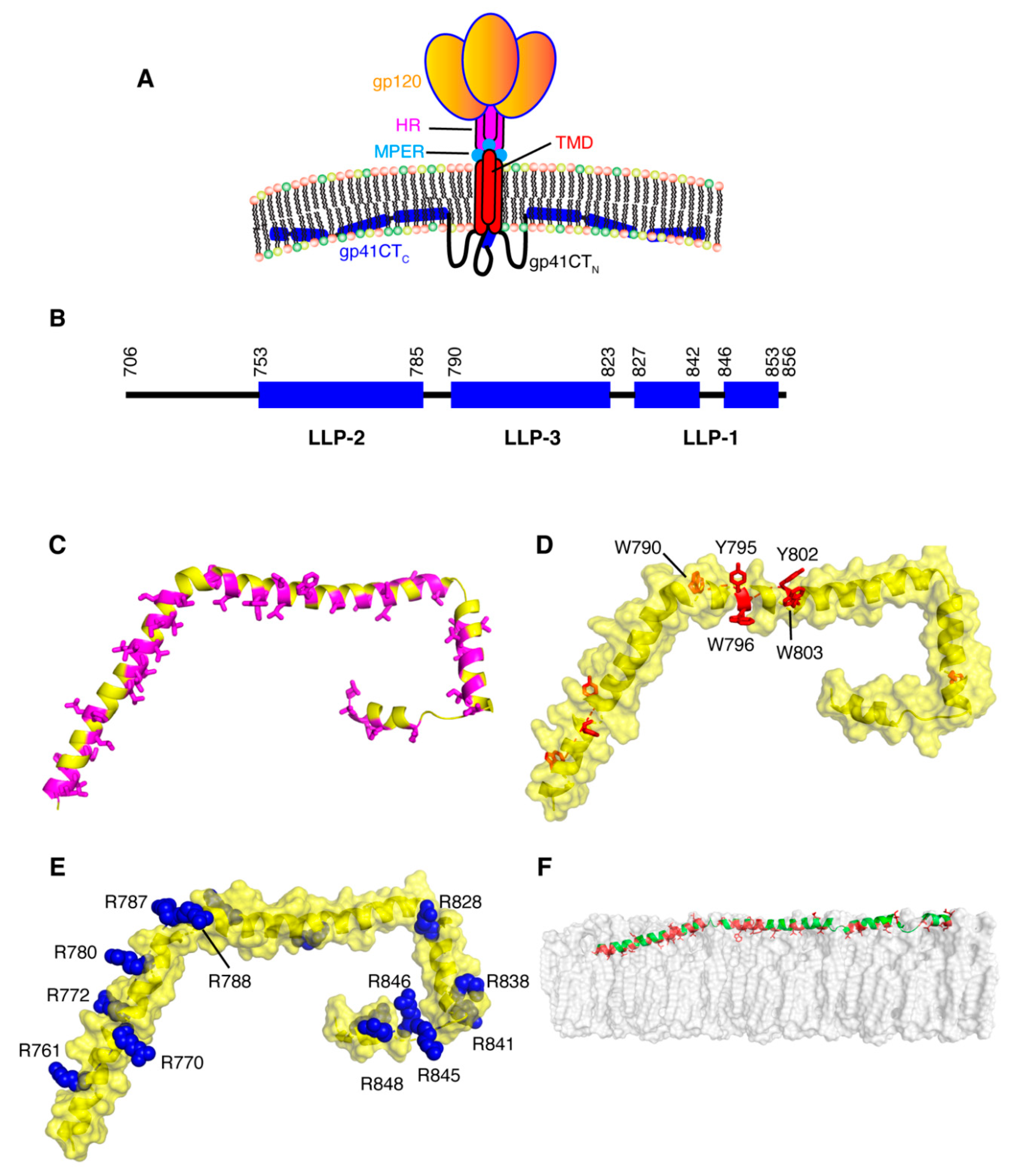 Viruses 12 00548 g004 Viruses 12 00548 g004