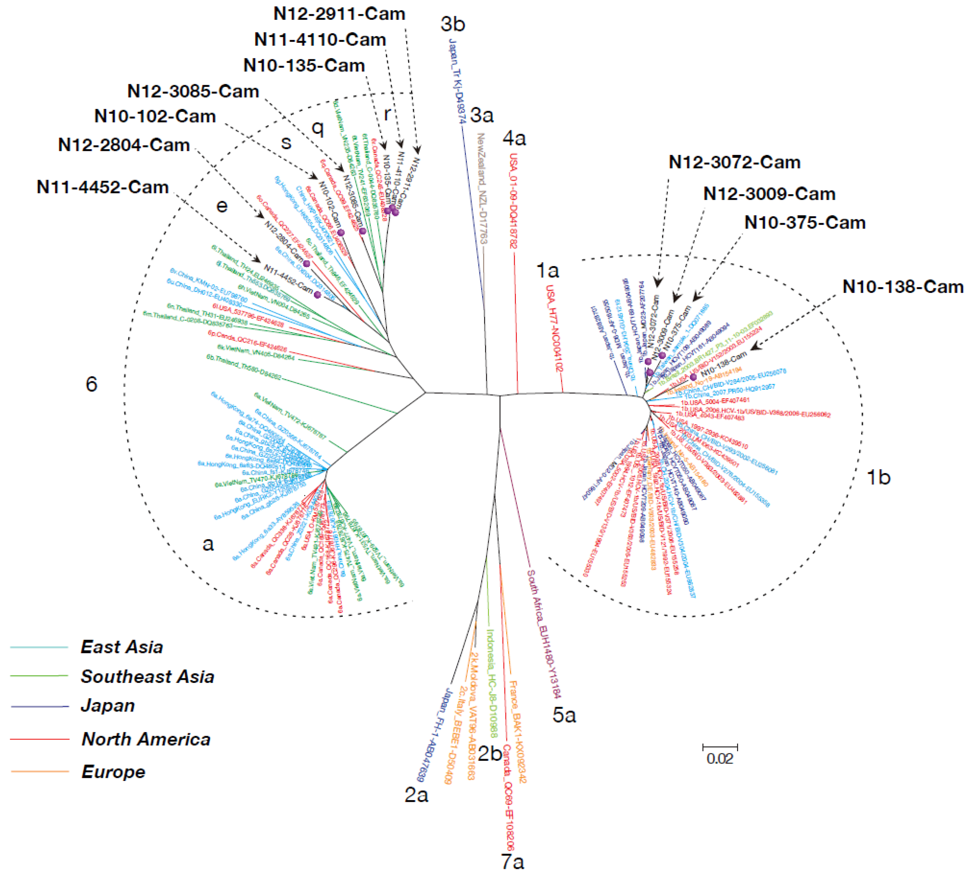Viruses 12 00551 g001