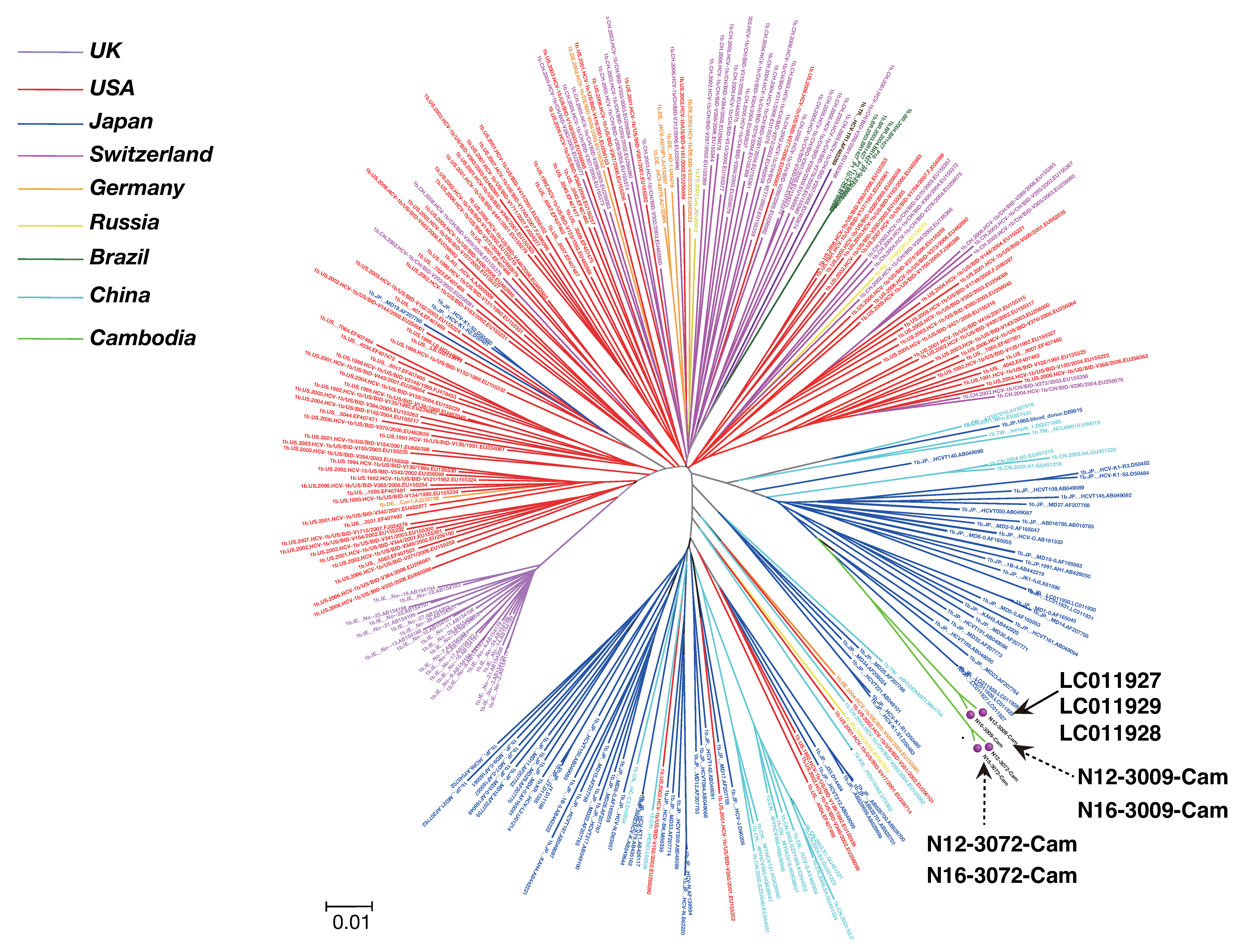 Viruses 12 00551 g002