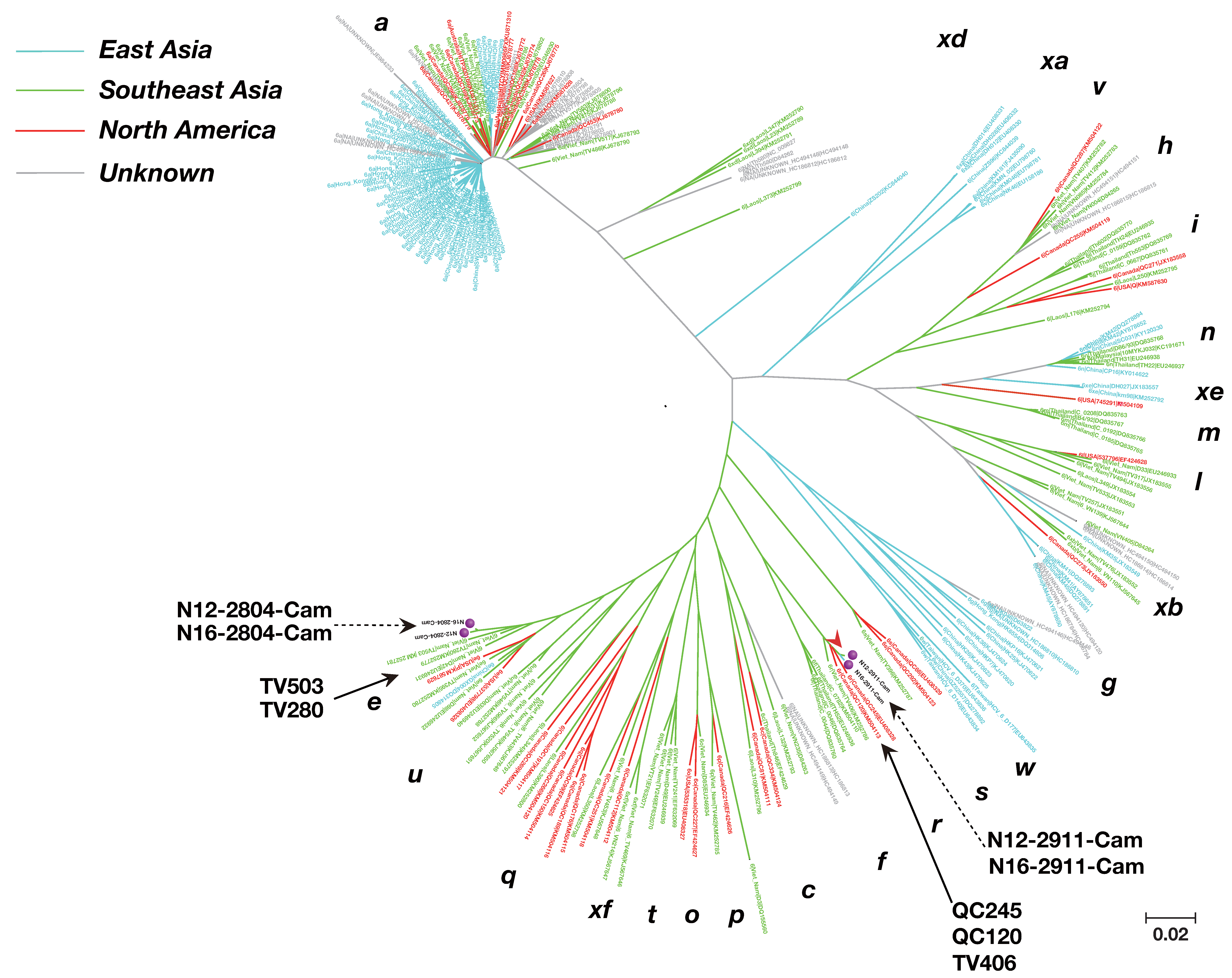 Viruses 12 00551 g003