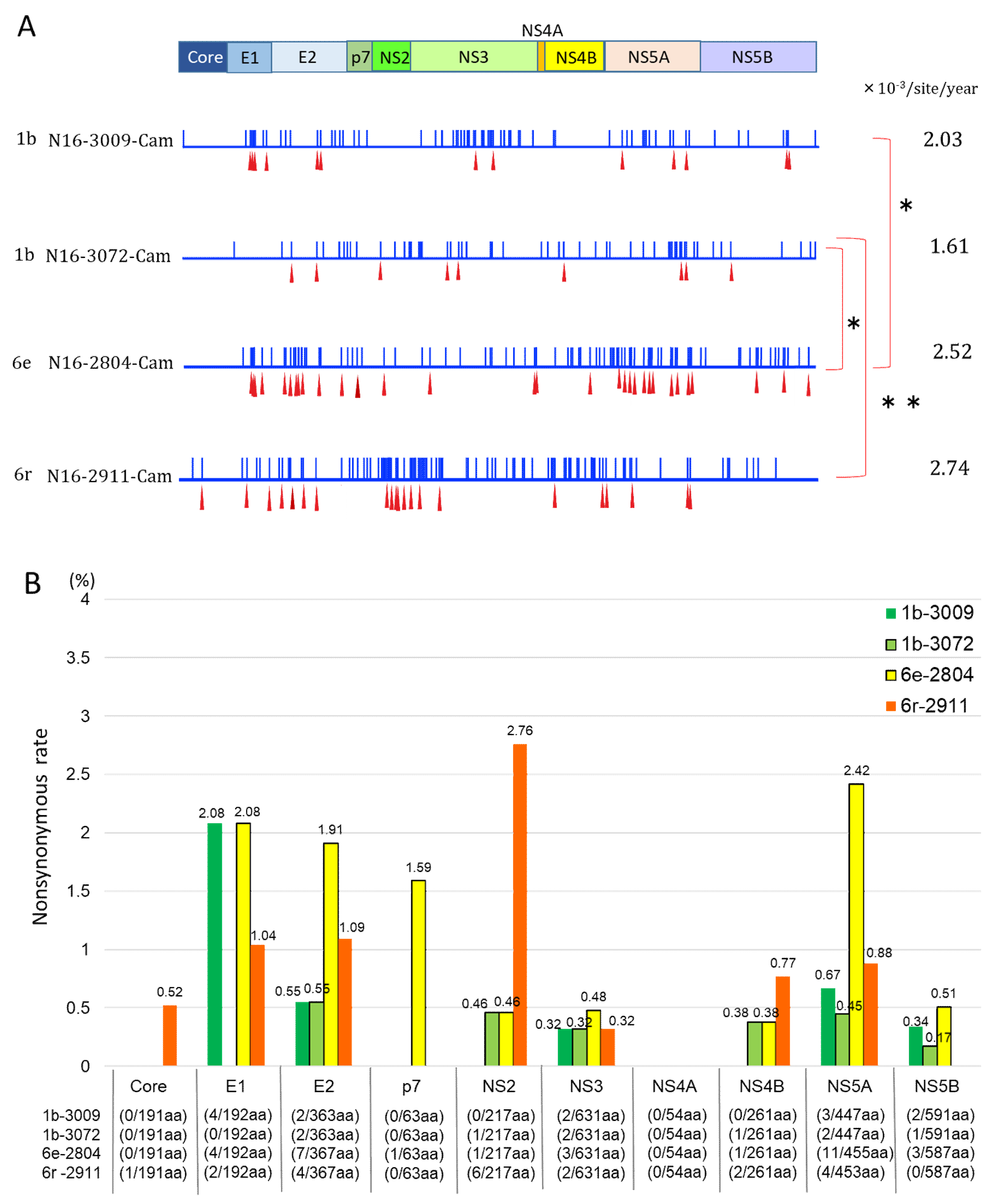 Viruses 12 00551 g004