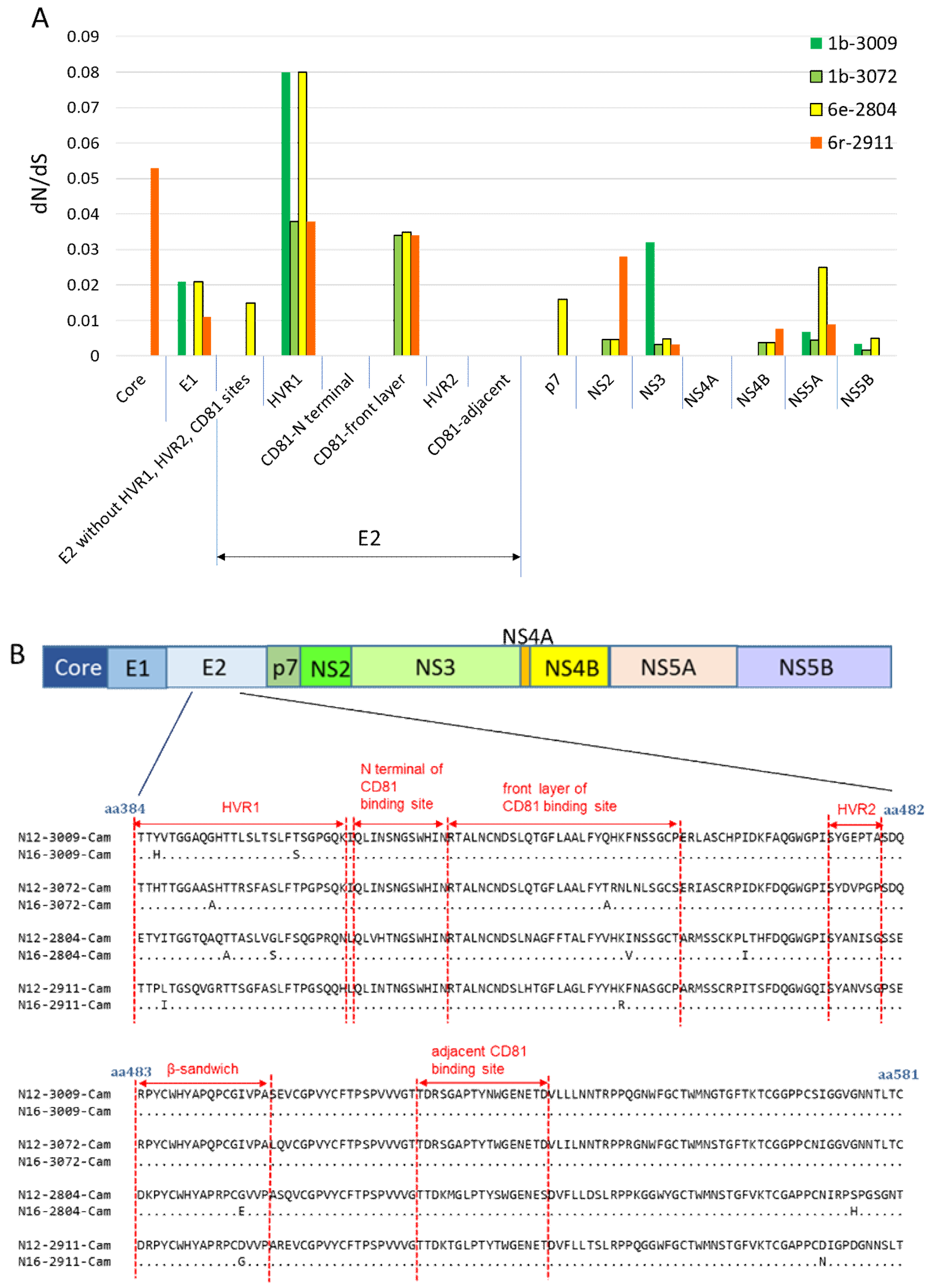 Viruses 12 00551 g005