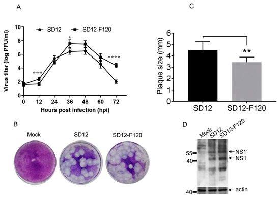 S I  Phenotypic and Genotypic Comparison of a Live-Attenuated