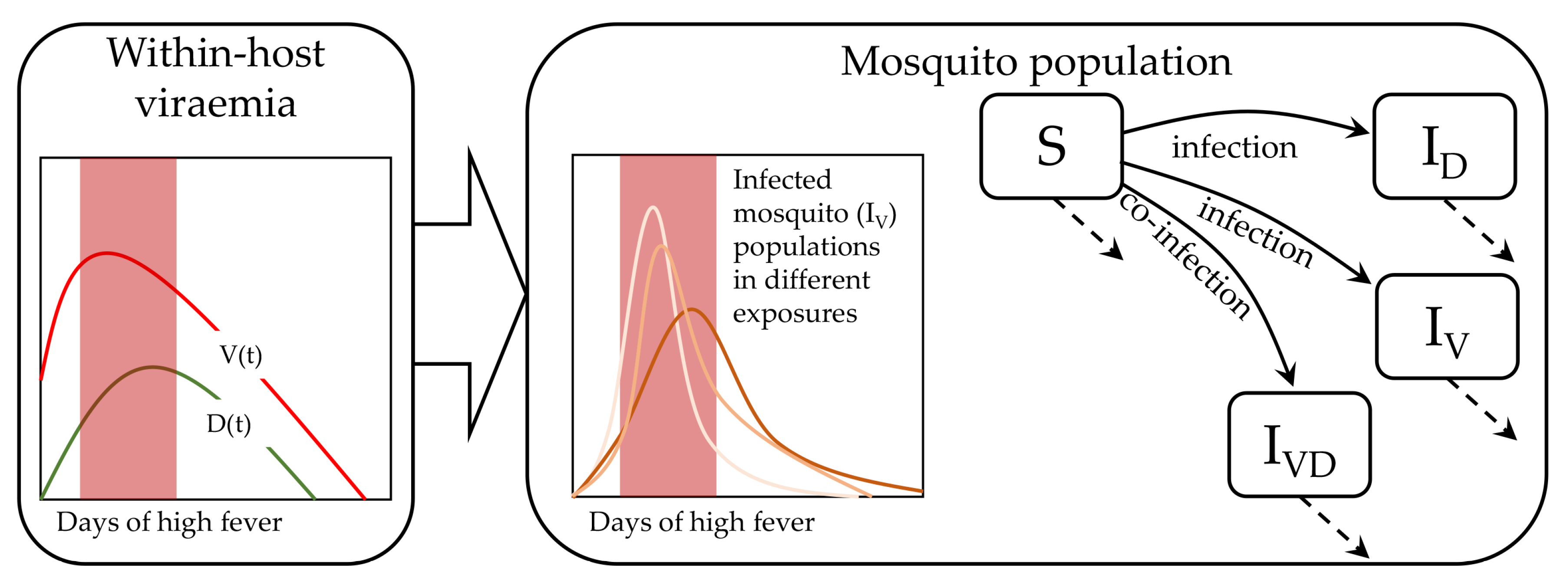 Viruses 12 00558 g001
