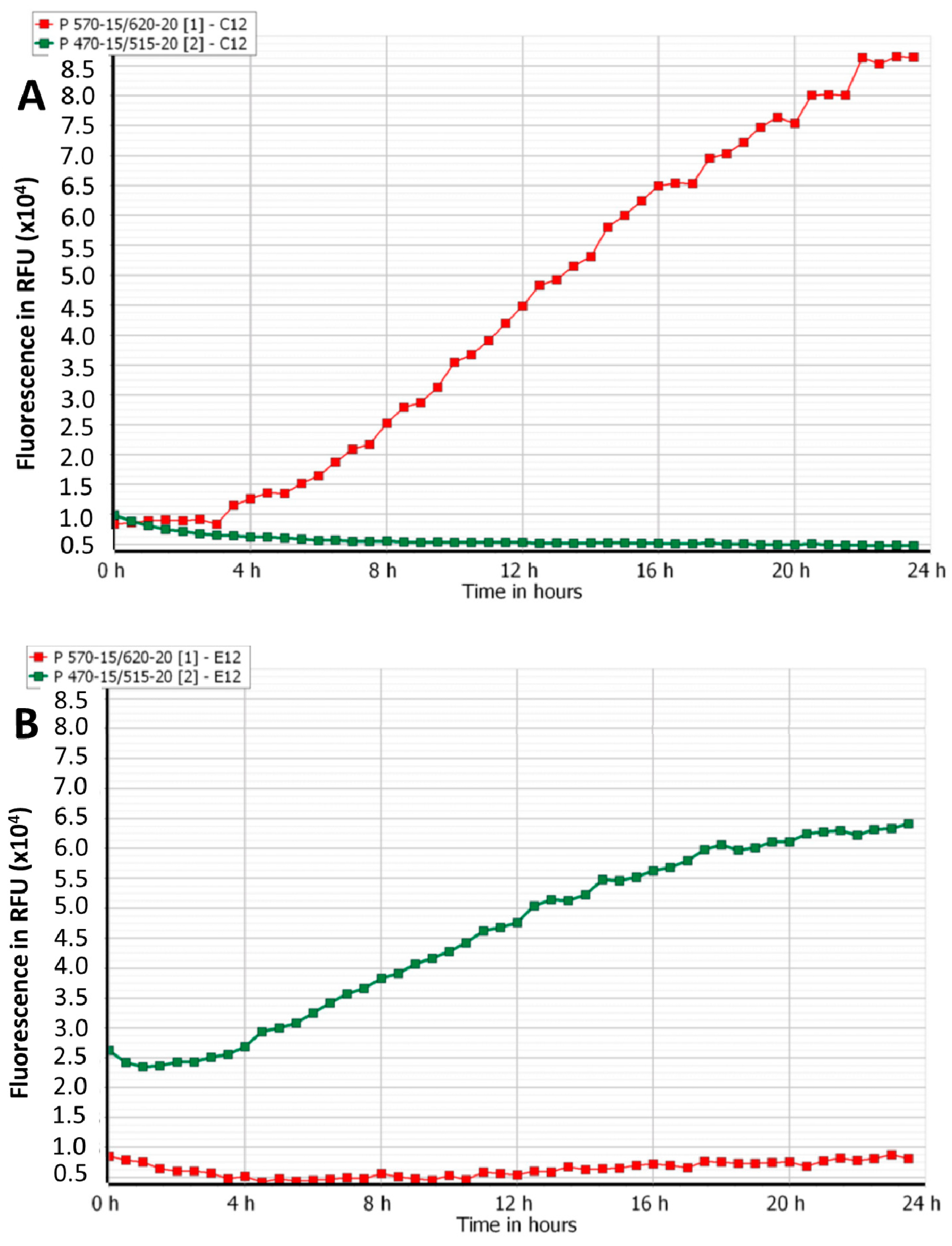 Viruses 12 00559 g002a
