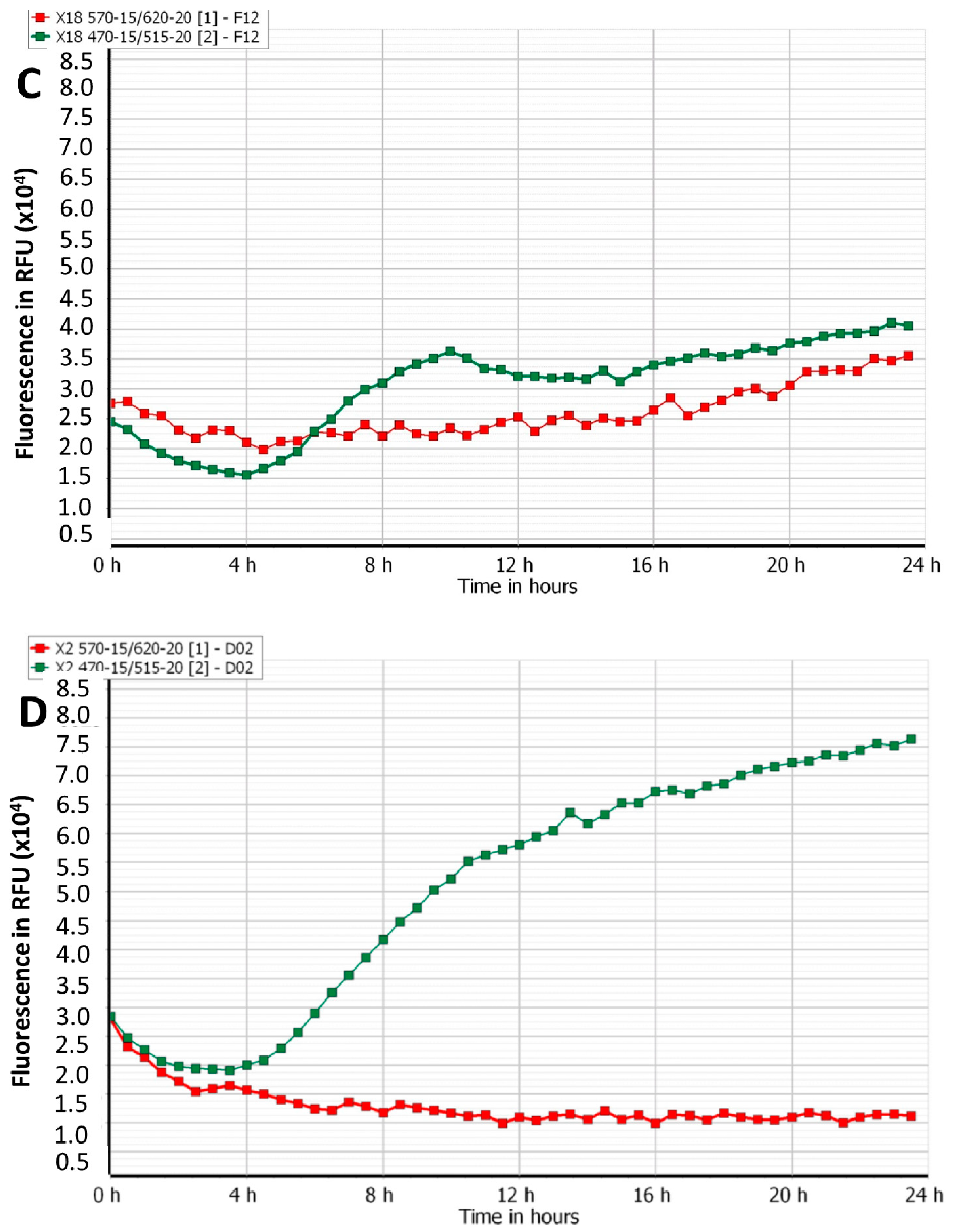 Viruses 12 00559 g002b