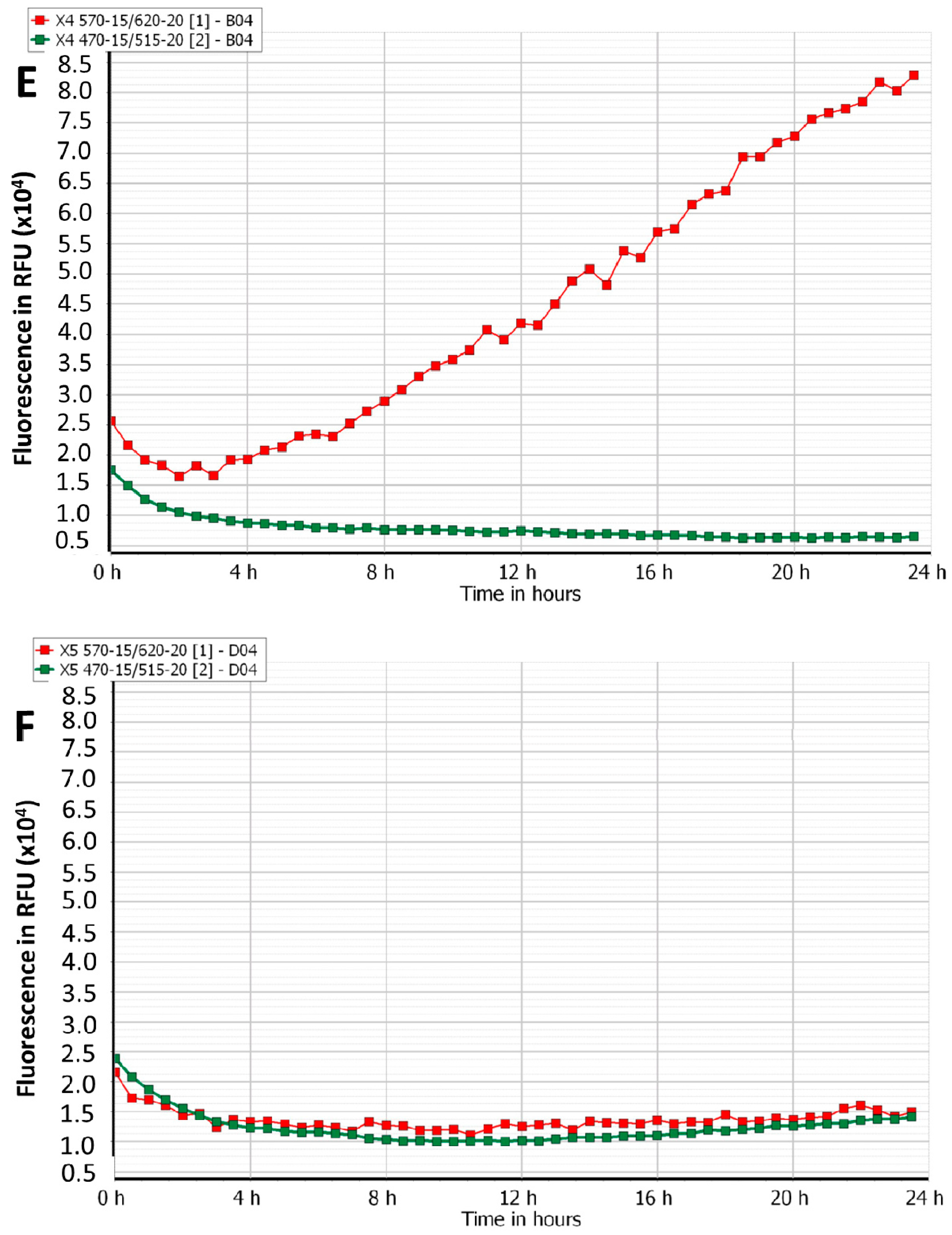 Viruses 12 00559 g002c